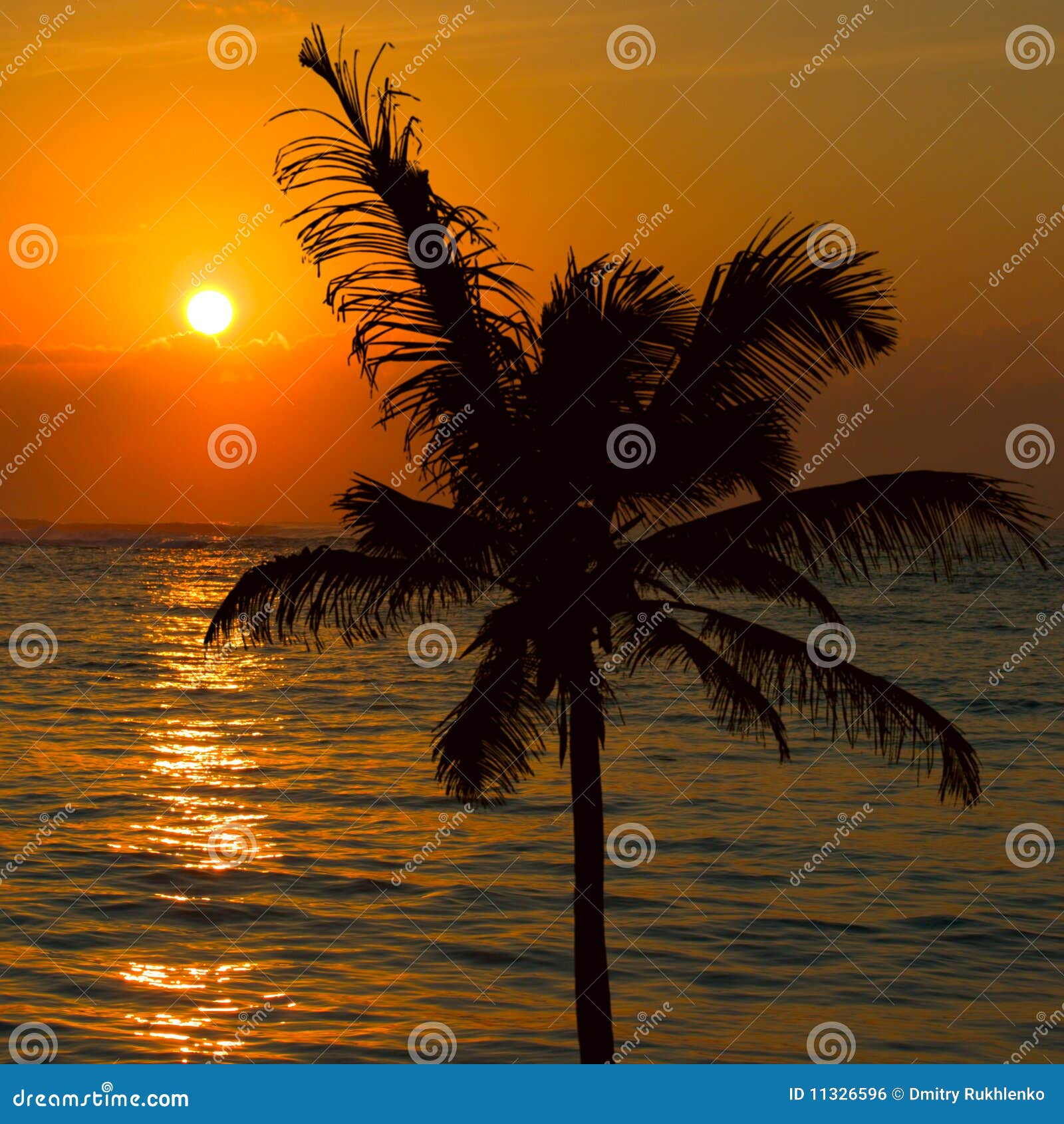 Tropical Sunset Scene Stock Photo Image Of Orange Twilight 11326596