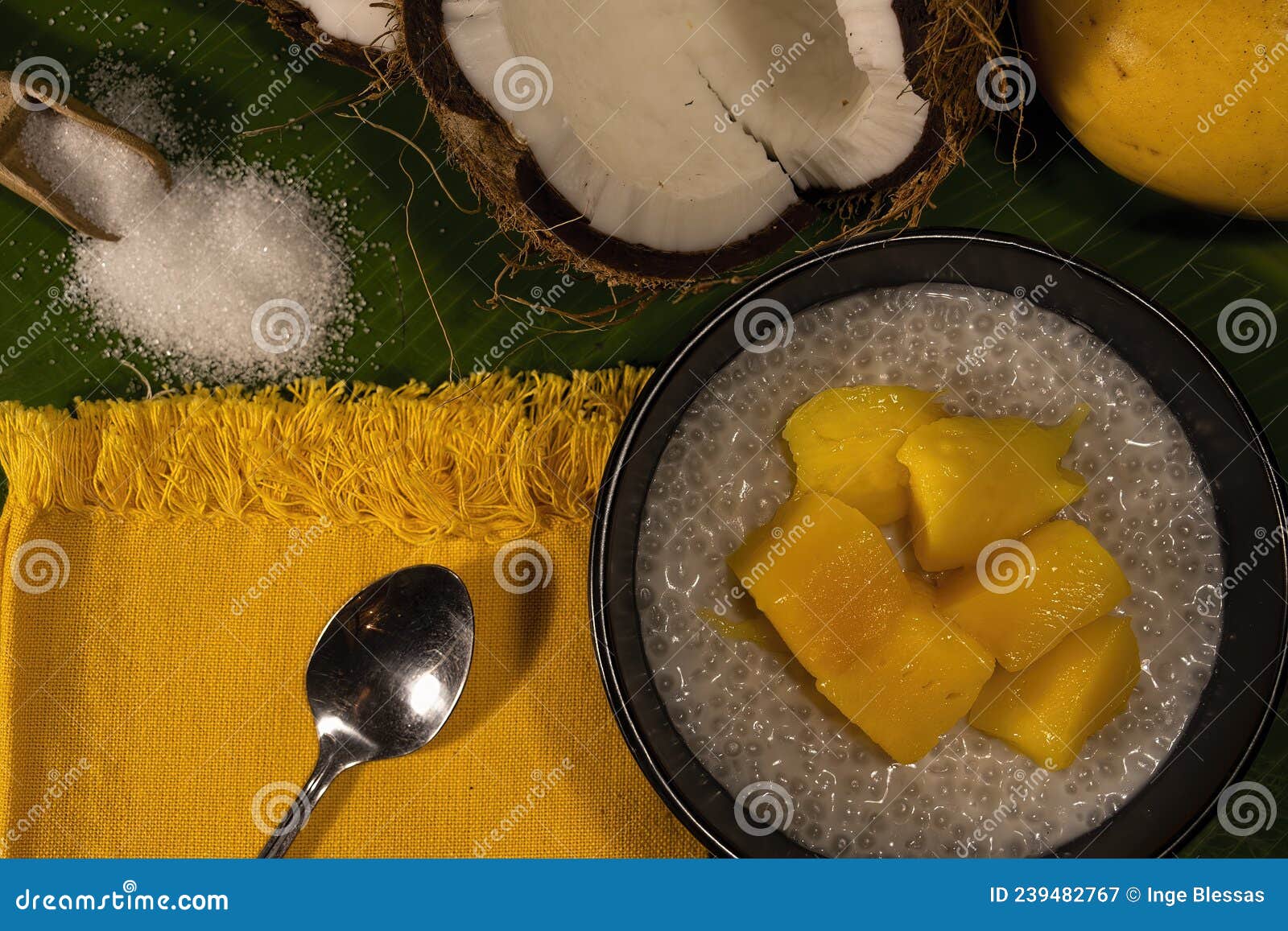 Tropical Tapioca,coconut Milk and Mango Pudding. Stock Image Image of