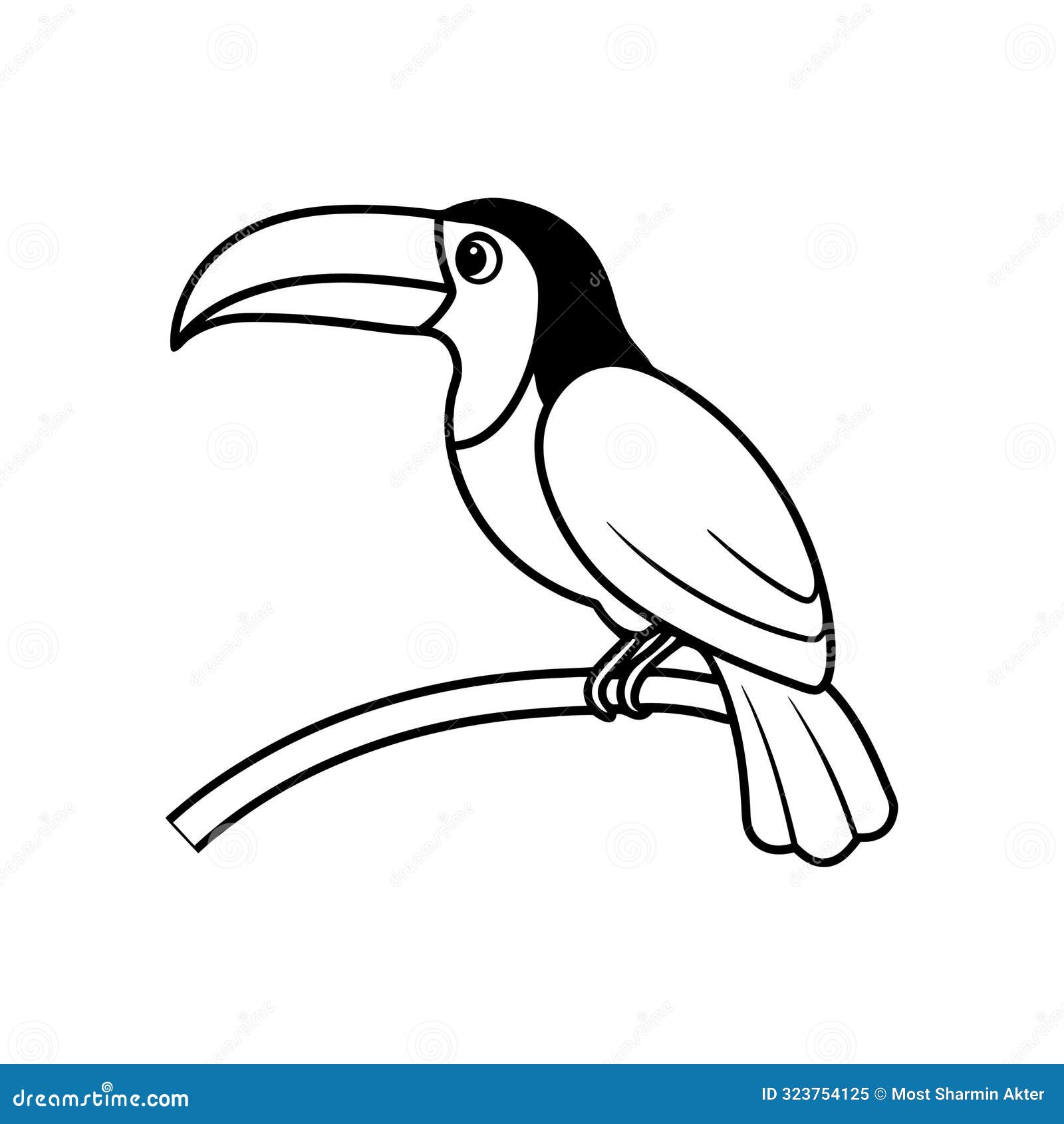tropical toucan bird perched  