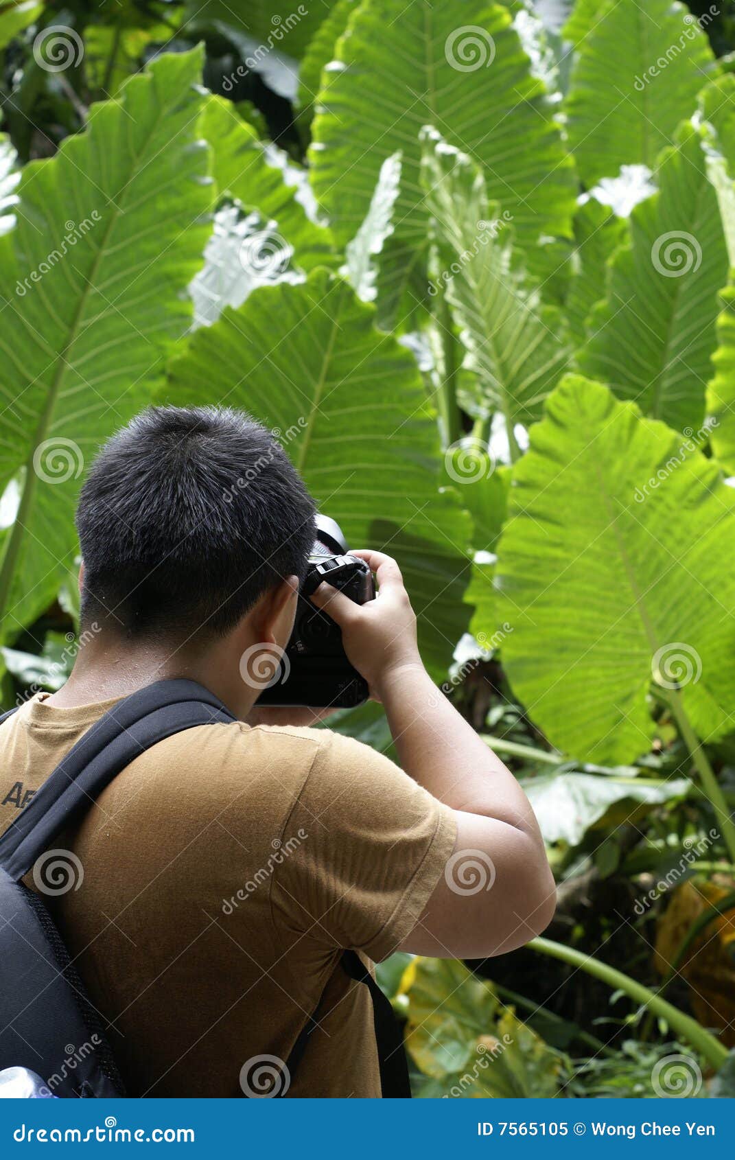 non touristy tropical destinations download non touristy tropical destinations download