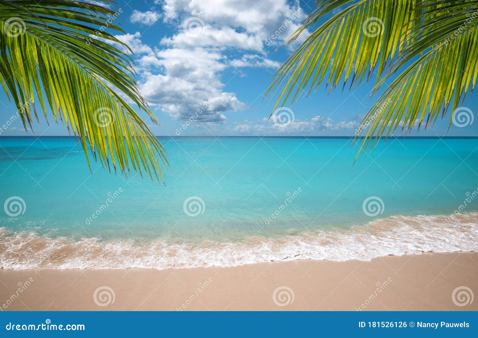 tropical vacation paradise with white sandy beaches and swaying palm trees.