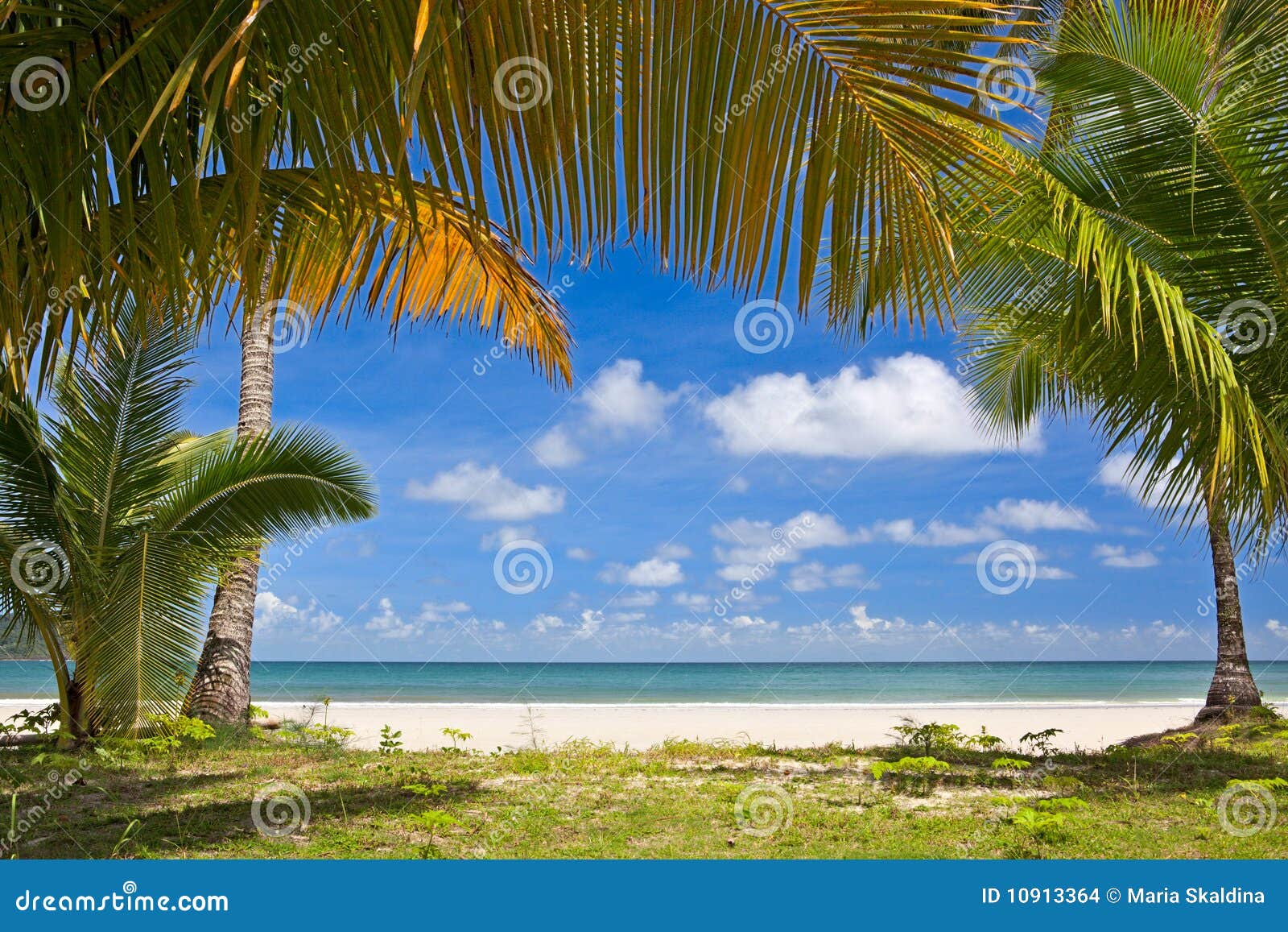Tropical View Stock Images Image 10913364