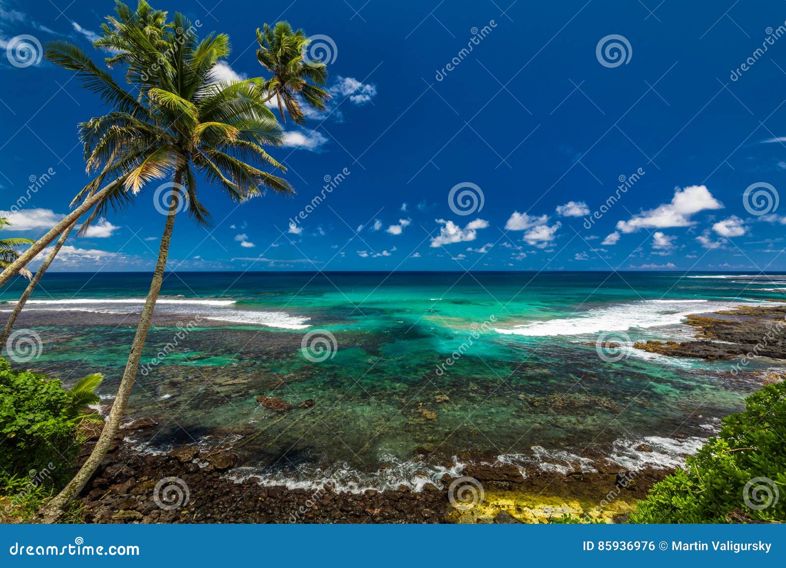 Tropical Volcanic Beach on Samoa Island with Many Palm Trees Stock ...