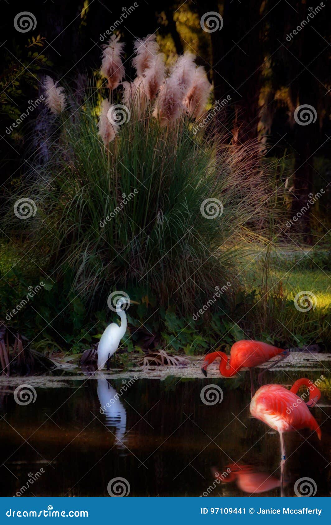 Tropikalnej fantazi Ptasi bagno. Pocztówkowy fantazi bagno w starym Floryda z egrets i flamingami,
