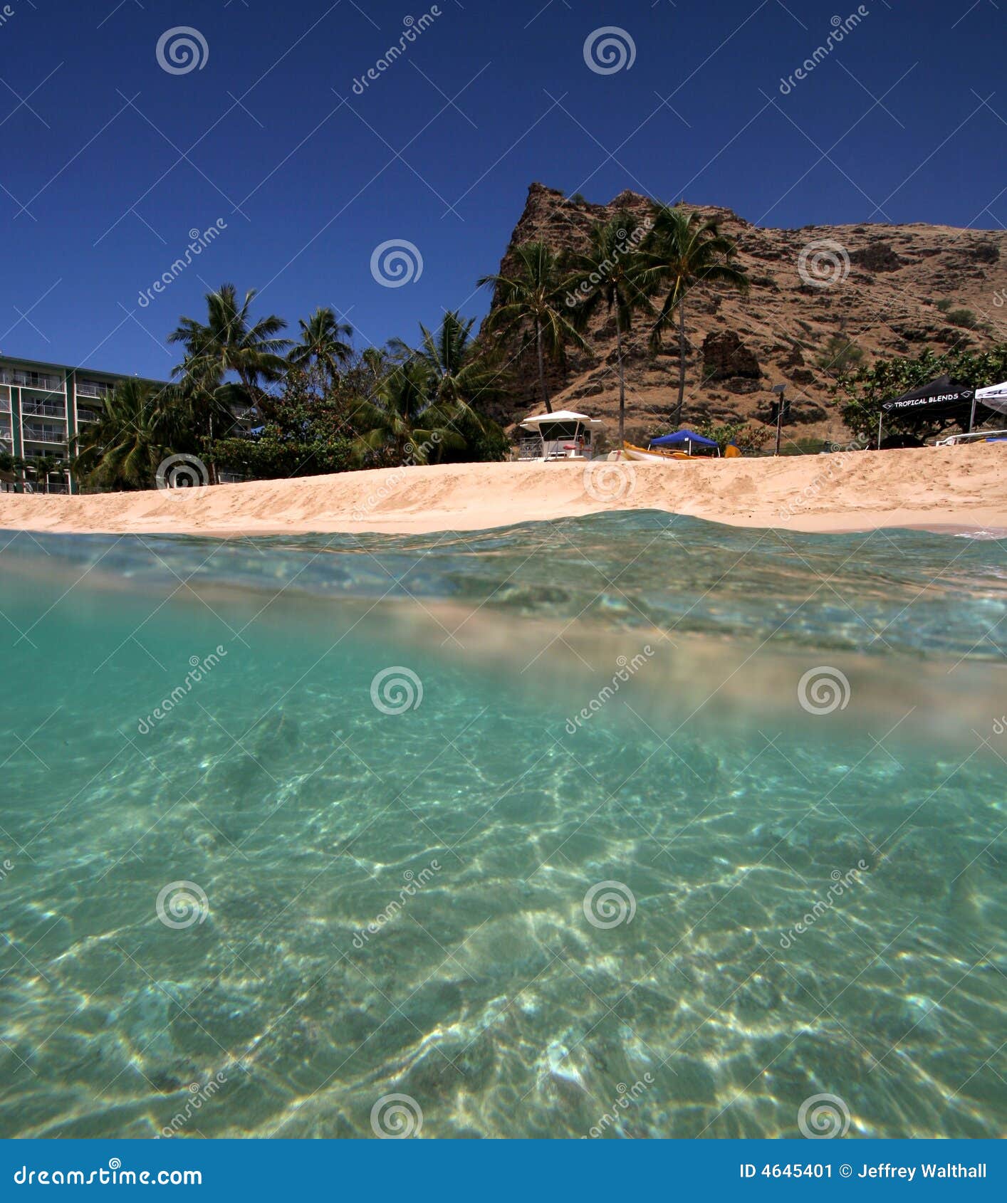 Tropikalny hawaii. Plażowa scena Hawaii tropikalna