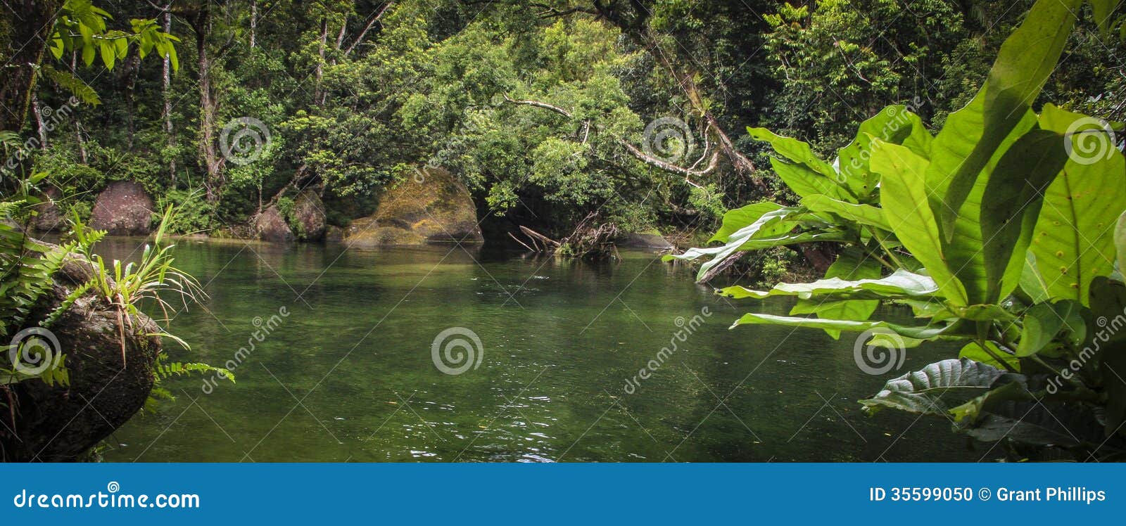 Tropikalny las deszczowy rzeka. Panorama tropikalnego lasu deszczowego basen i rzeka głęboko