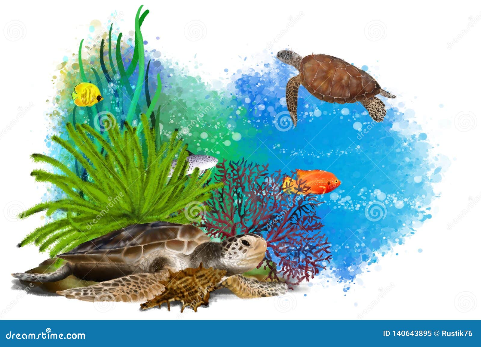 Schildkröte und tropische Fische 3 D Ansichtskarte