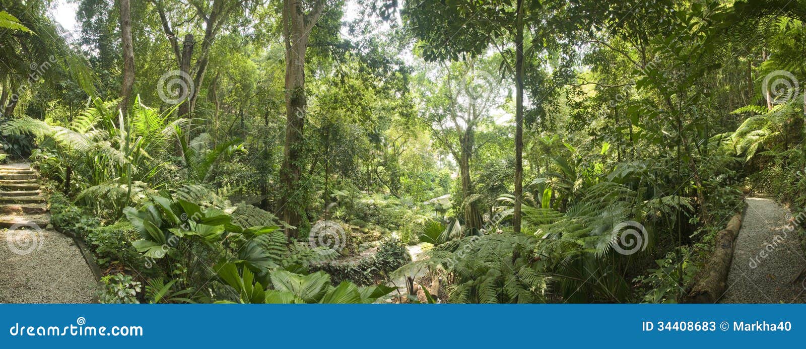 Tropischer Garten, Malaysia Stockbild Bild von blätter, pflanzen