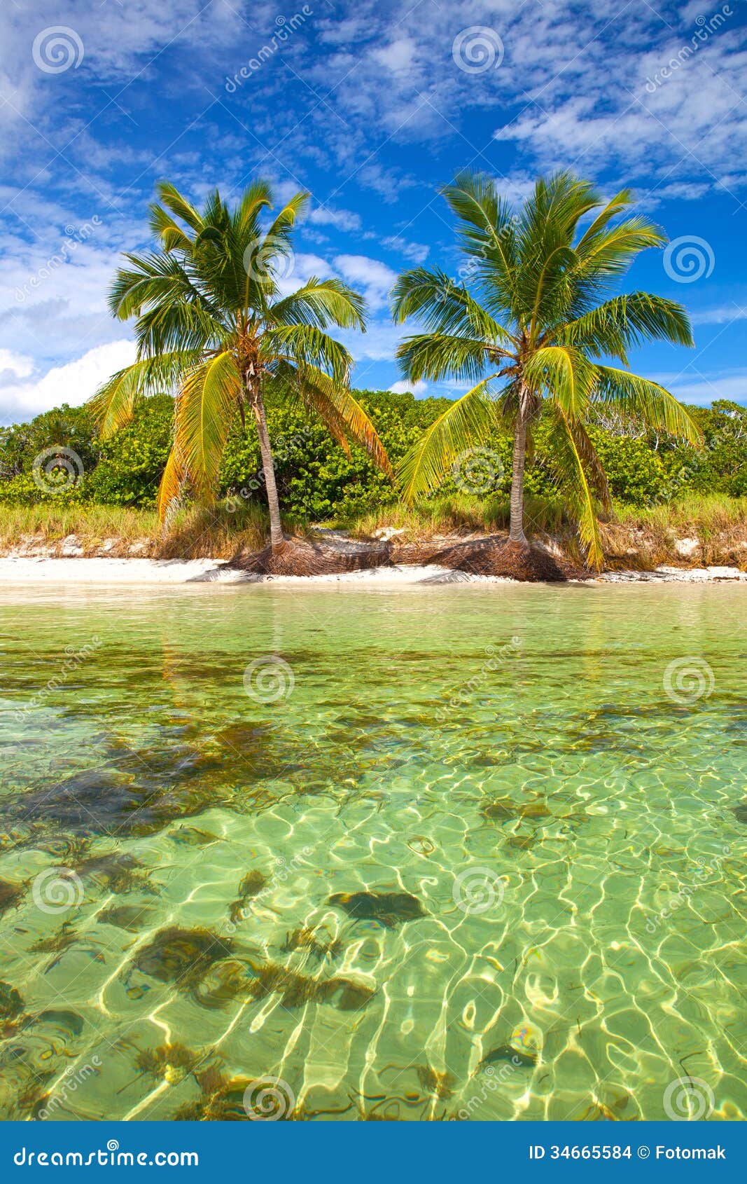 Tropischer Sommer mit Palmen. Sommer an einem tropischen Paradies in Florida-Schlüsseln, an USA mit Palmen, am blauen Himmel, an den Wolken und am haarscharfen Wasser von Atlantik