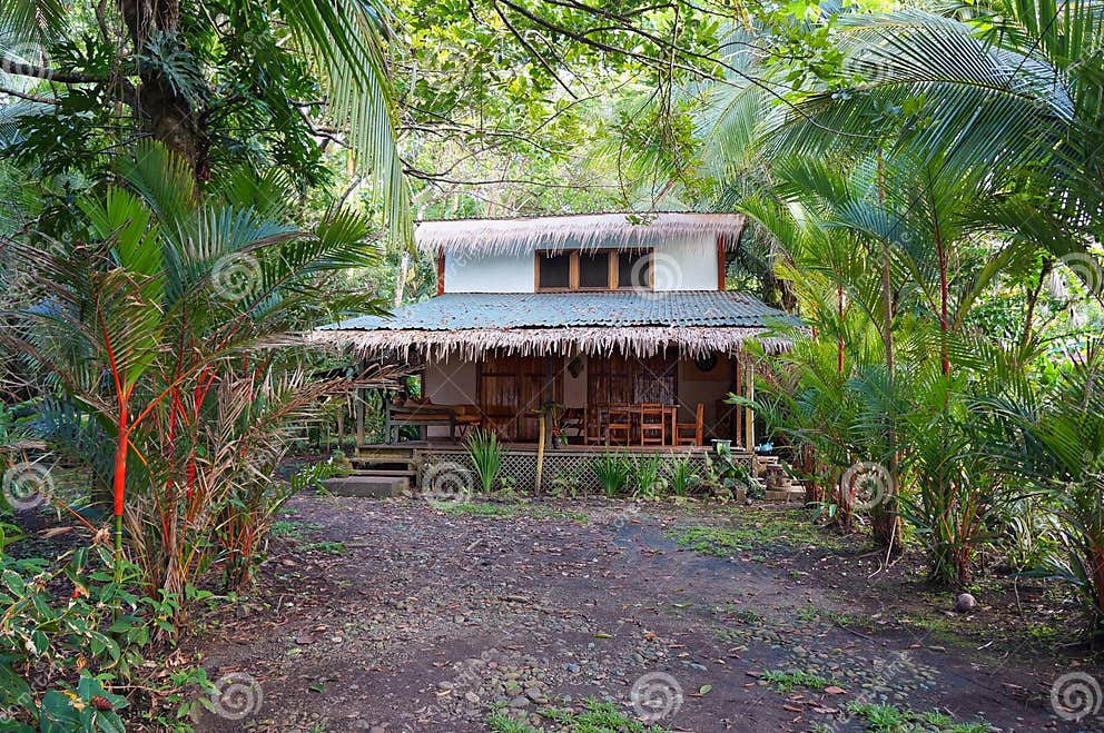 Tropisches Haus Mit Exotischer Vegetation Stockfoto Bild von