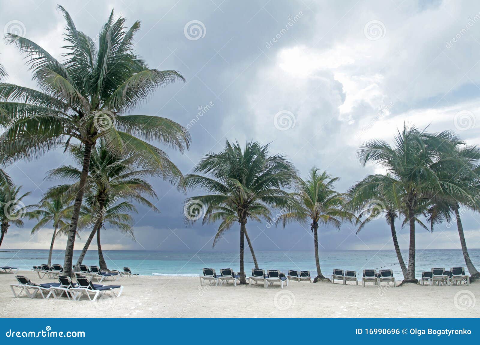 Tropisk storm. Mayamexico för stranden gömma i handflatan det tomma hav tropisk white för riviera sandstormtrees