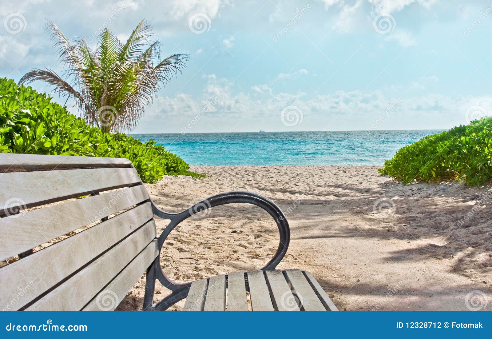 Tropiskt strandflorida miami paradis. Det strandbänkflorida miami hav gömma i handflatan paradisbana till tropiska trees