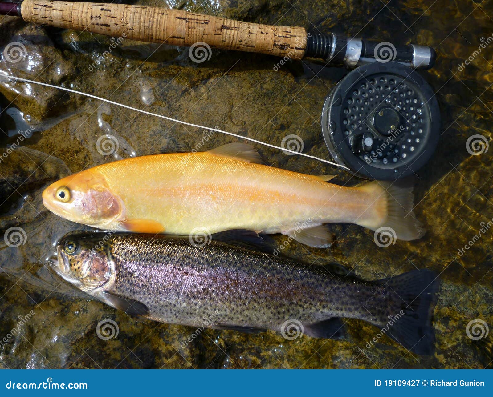 Mosche Da Pesca A Mosca Della Trota - Testa Dorata Da 10 - Foto 6