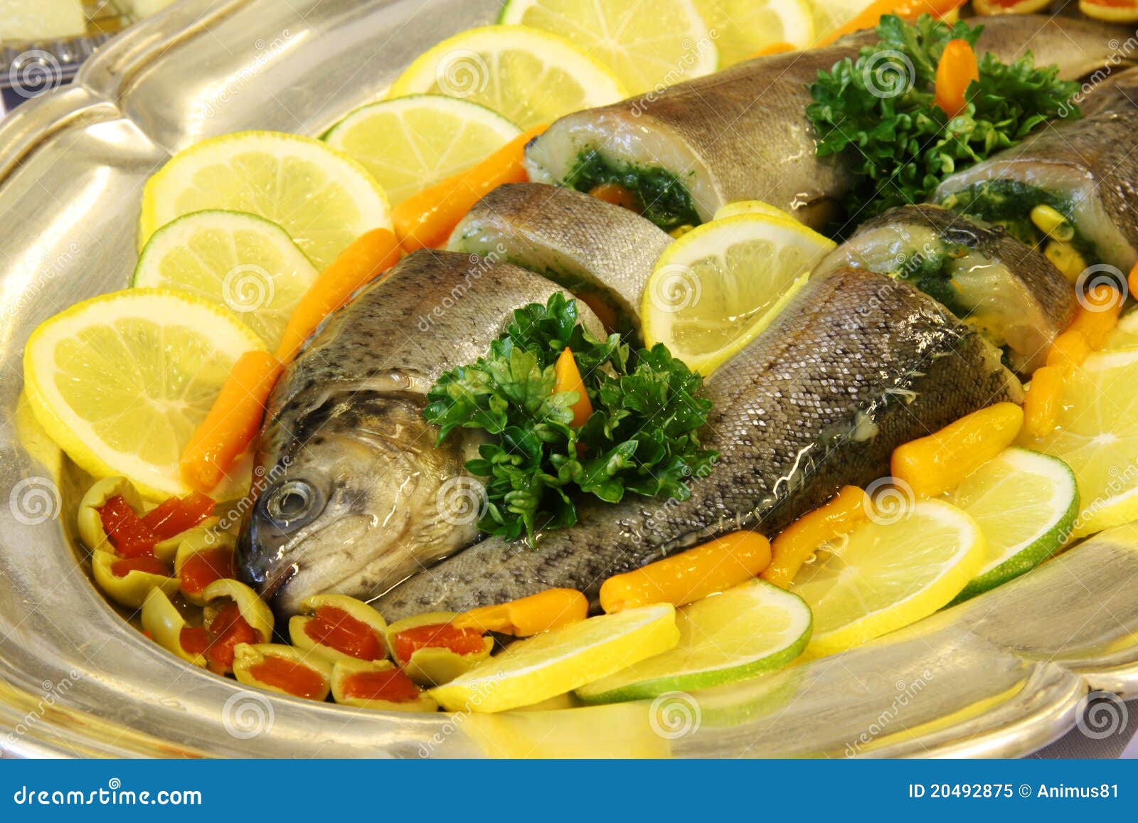 Trout stock image. Image of trout, tray, food, fish, lemon 20492875