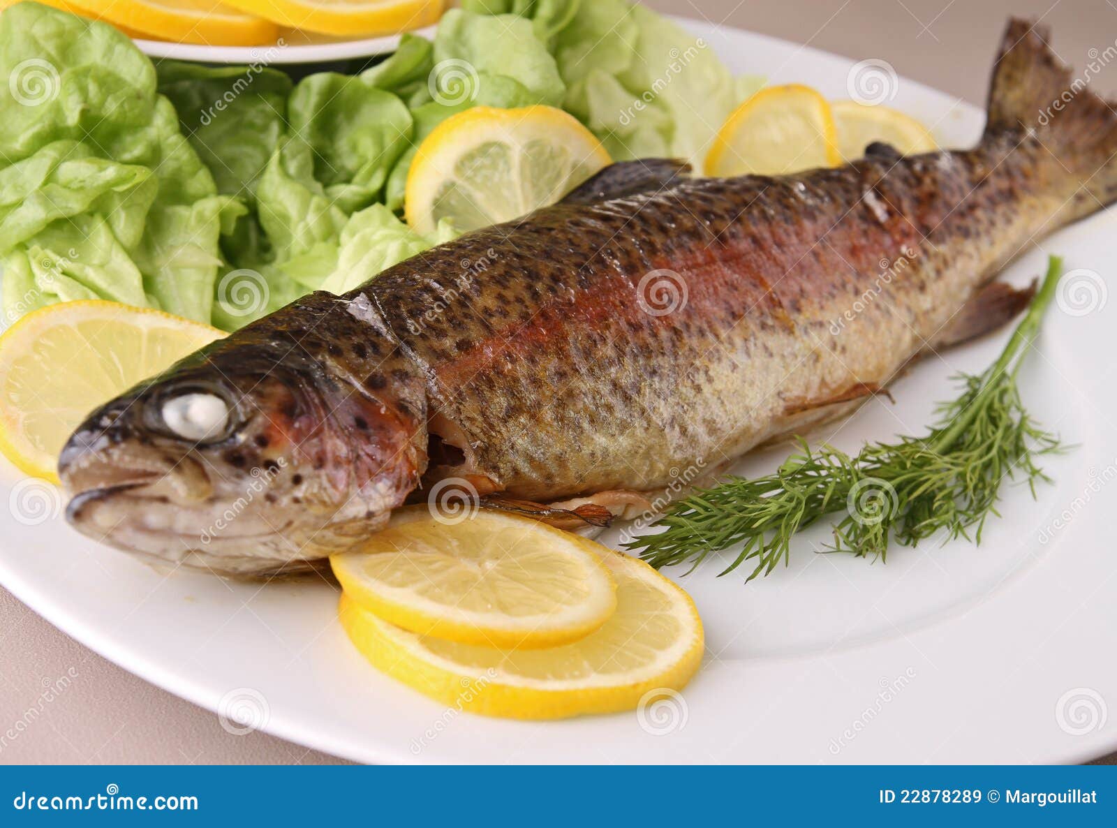 Trout stock image. Image of trout, dining, gourmet, nutrition 22878289