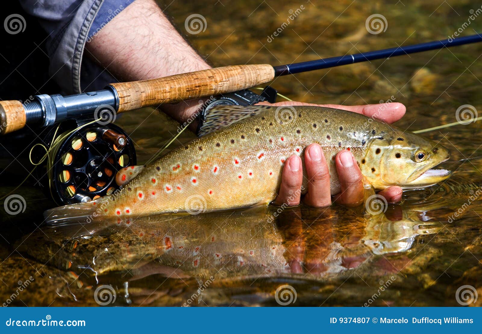 trout