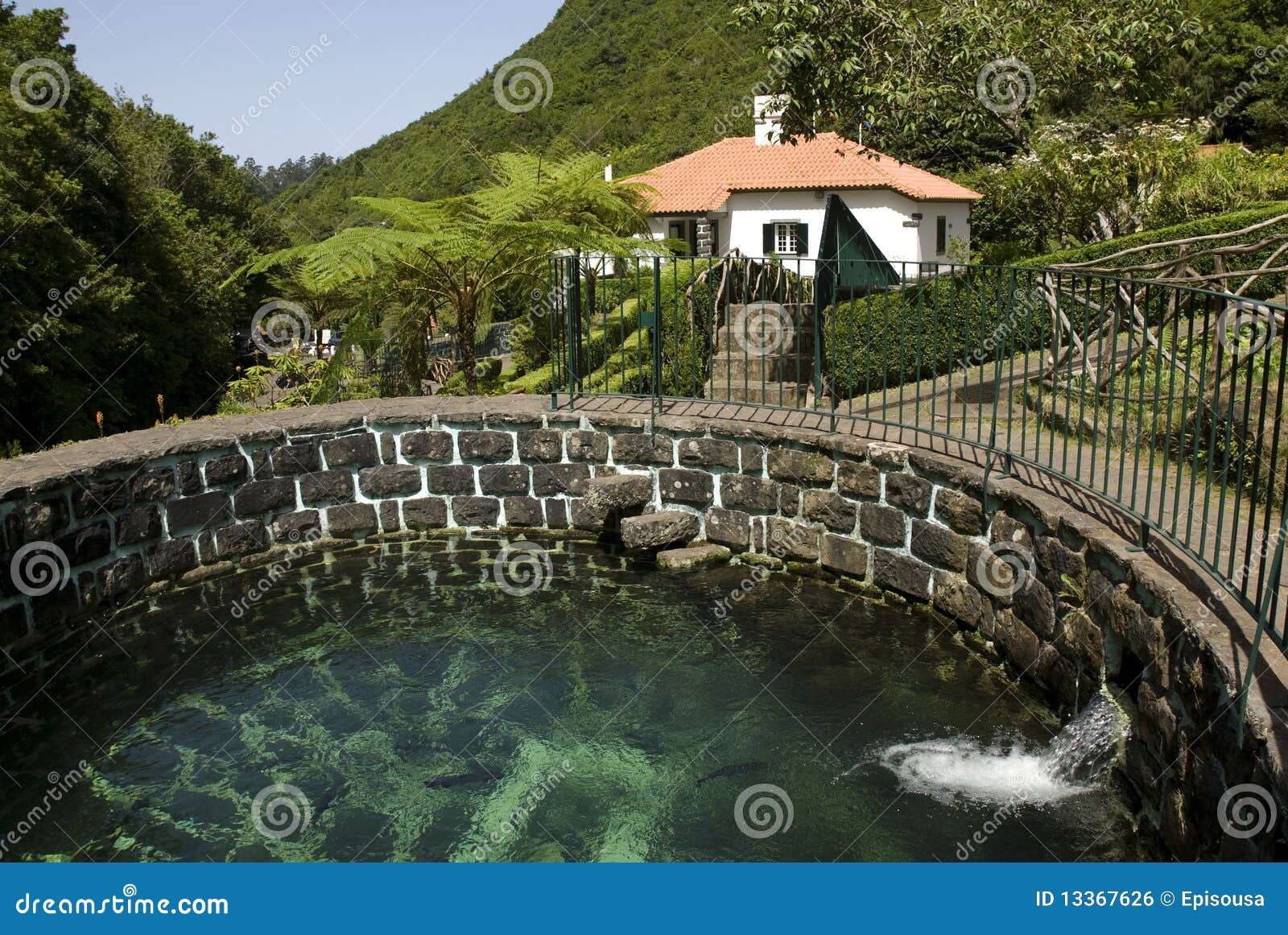 Trout farm stock photo. Image of mountains, landscape 13367626
