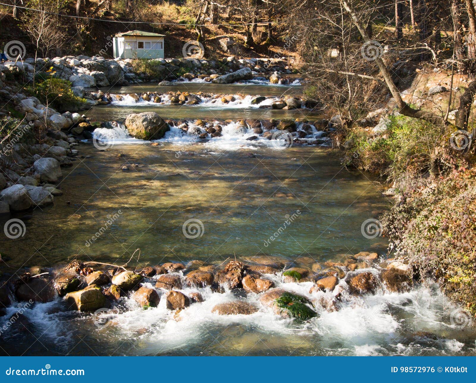 Trout farm stock photo. Image of flow, clean, fish, building 98572976