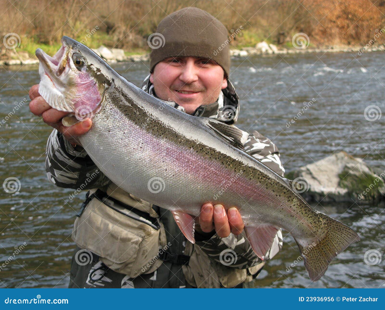 Trout fish stock photo. Image of fisherman, line, peace 23936956
