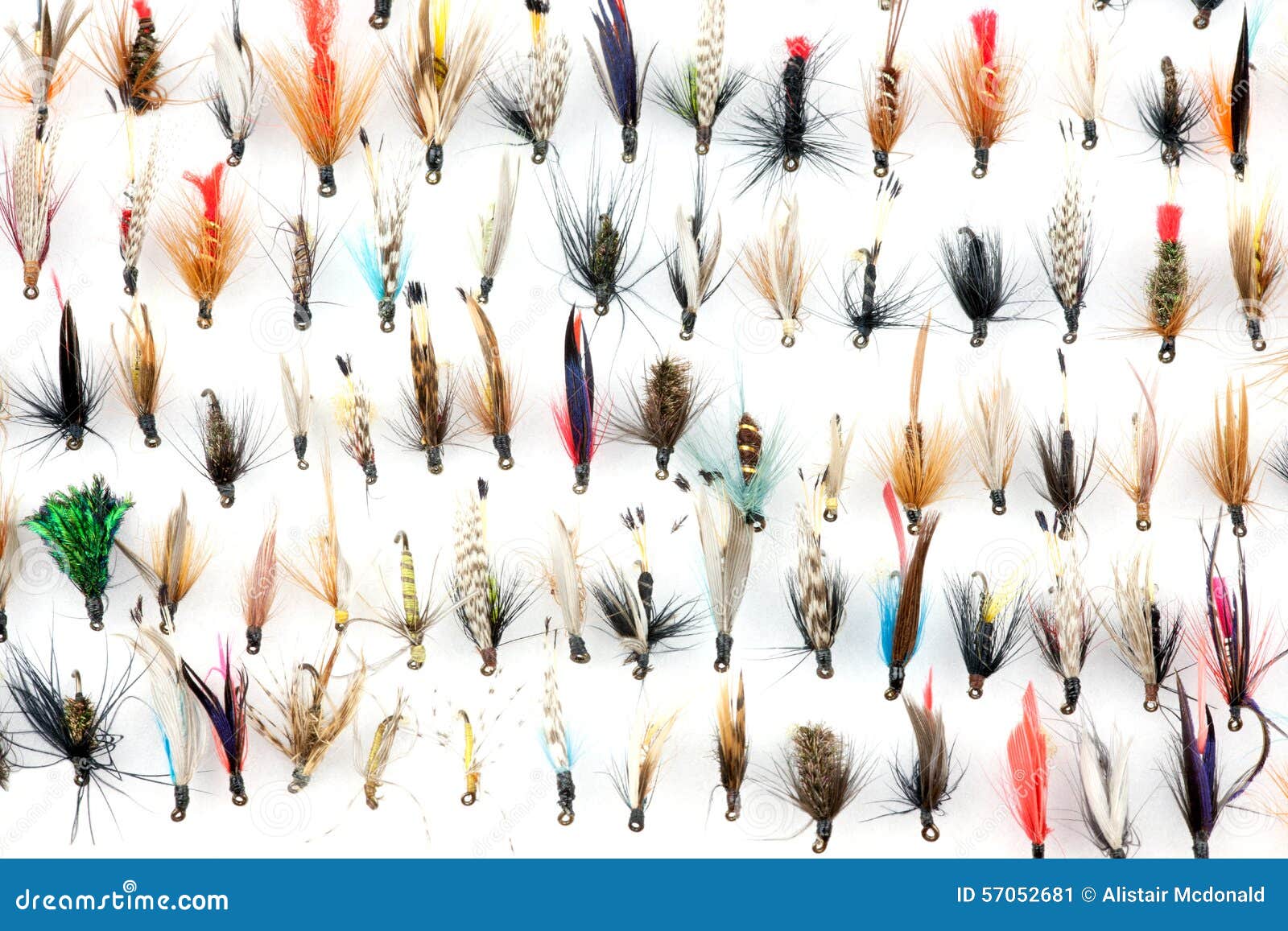 1,283 Fishing Flies Trout Stock Photos - Free & Royalty-Free Stock Photos  from Dreamstime