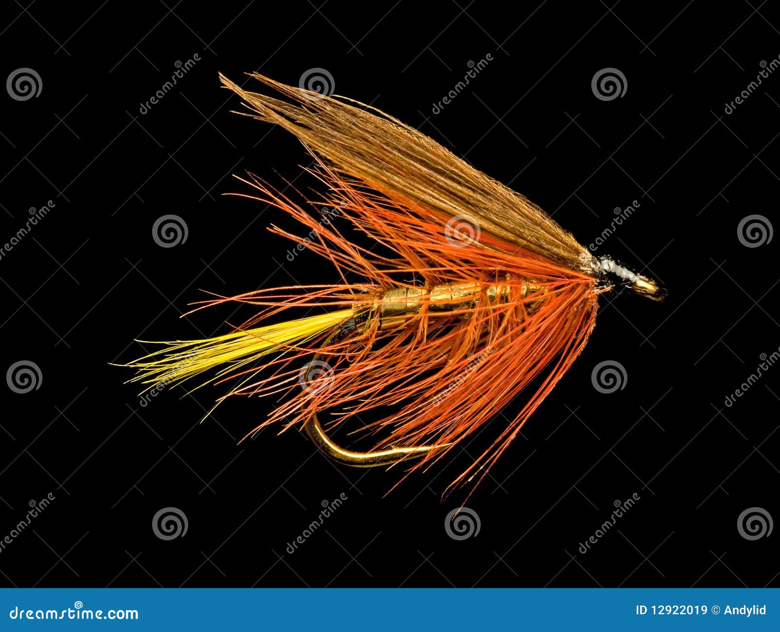 trout fishing fly