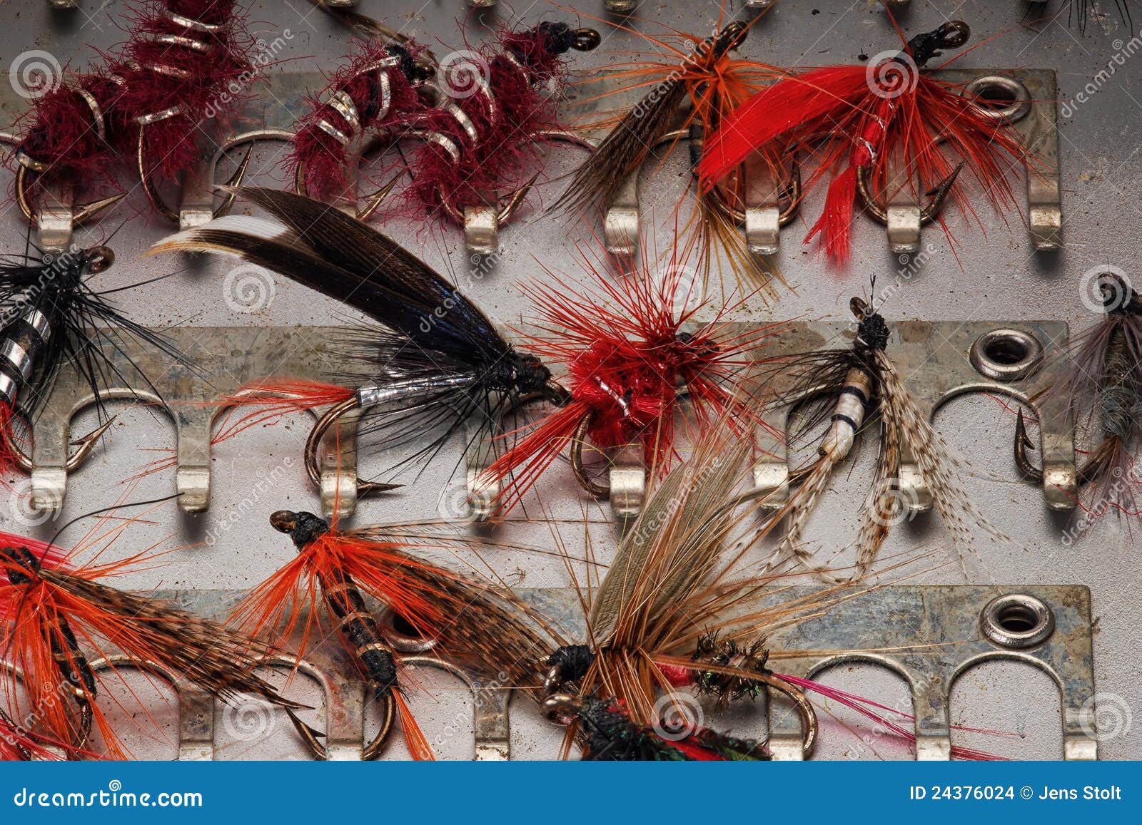 Trout flies stock photo. Image of nature, close, lure - 24376024