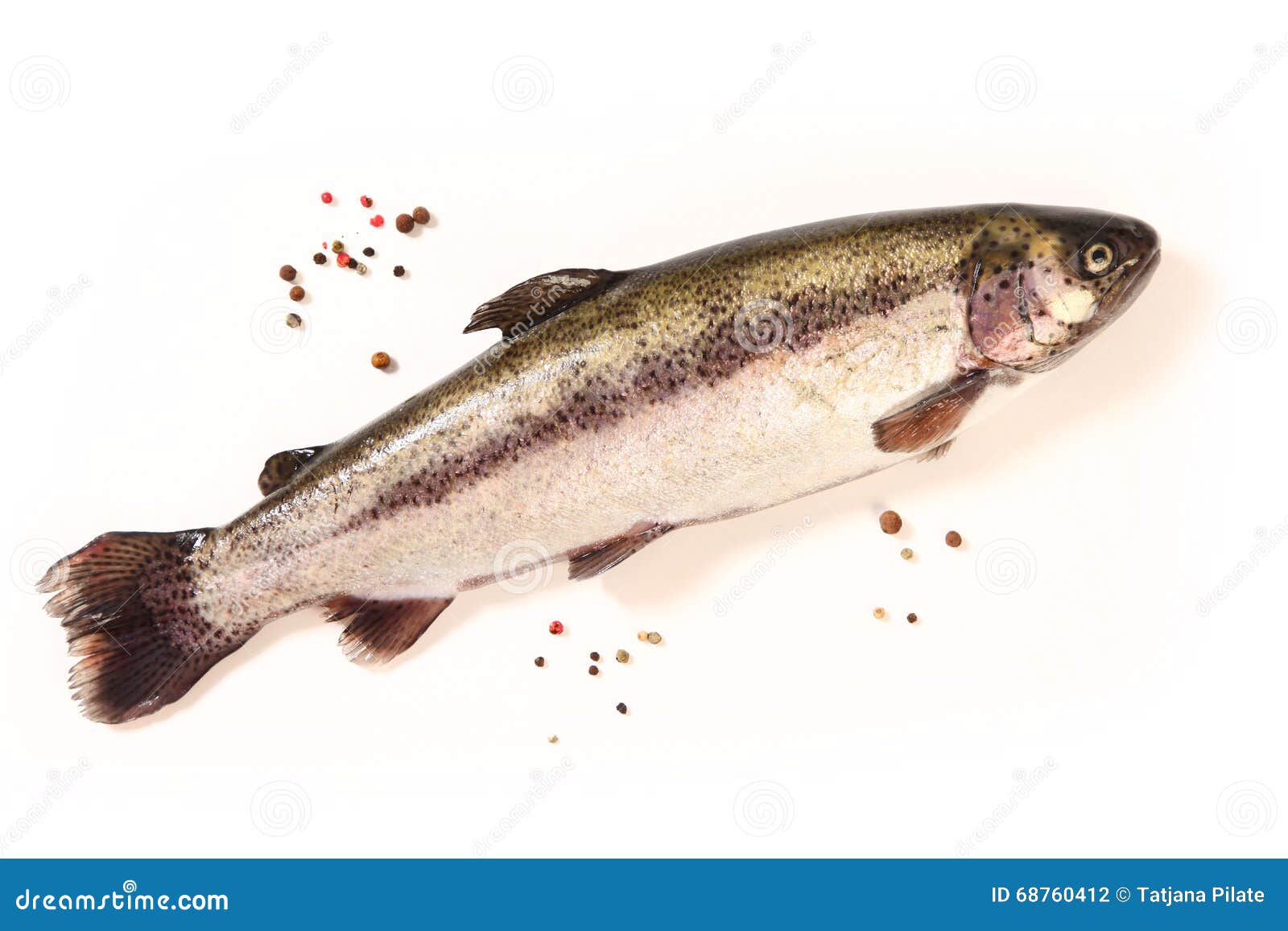 Trout stock photo. Image of trout, food, fish, isolated 68760412
