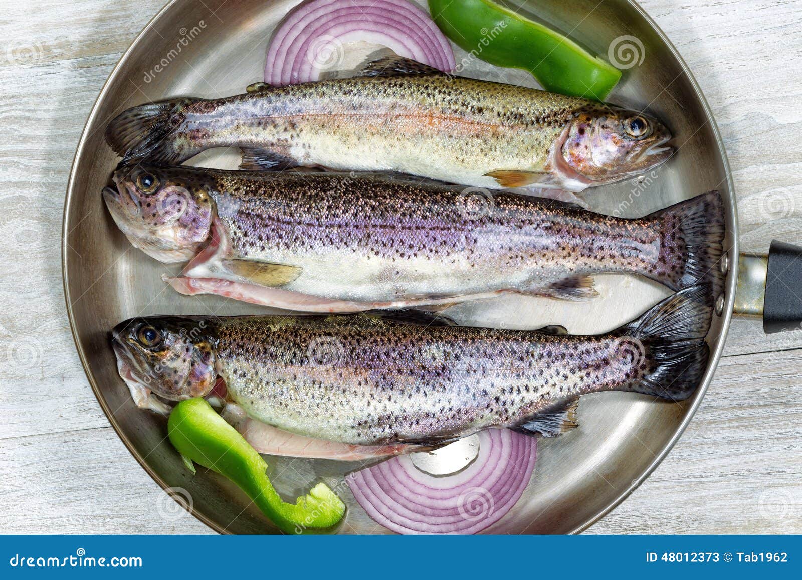 1,718 Trout Fry Stock Photos - Free & Royalty-Free Stock Photos from  Dreamstime