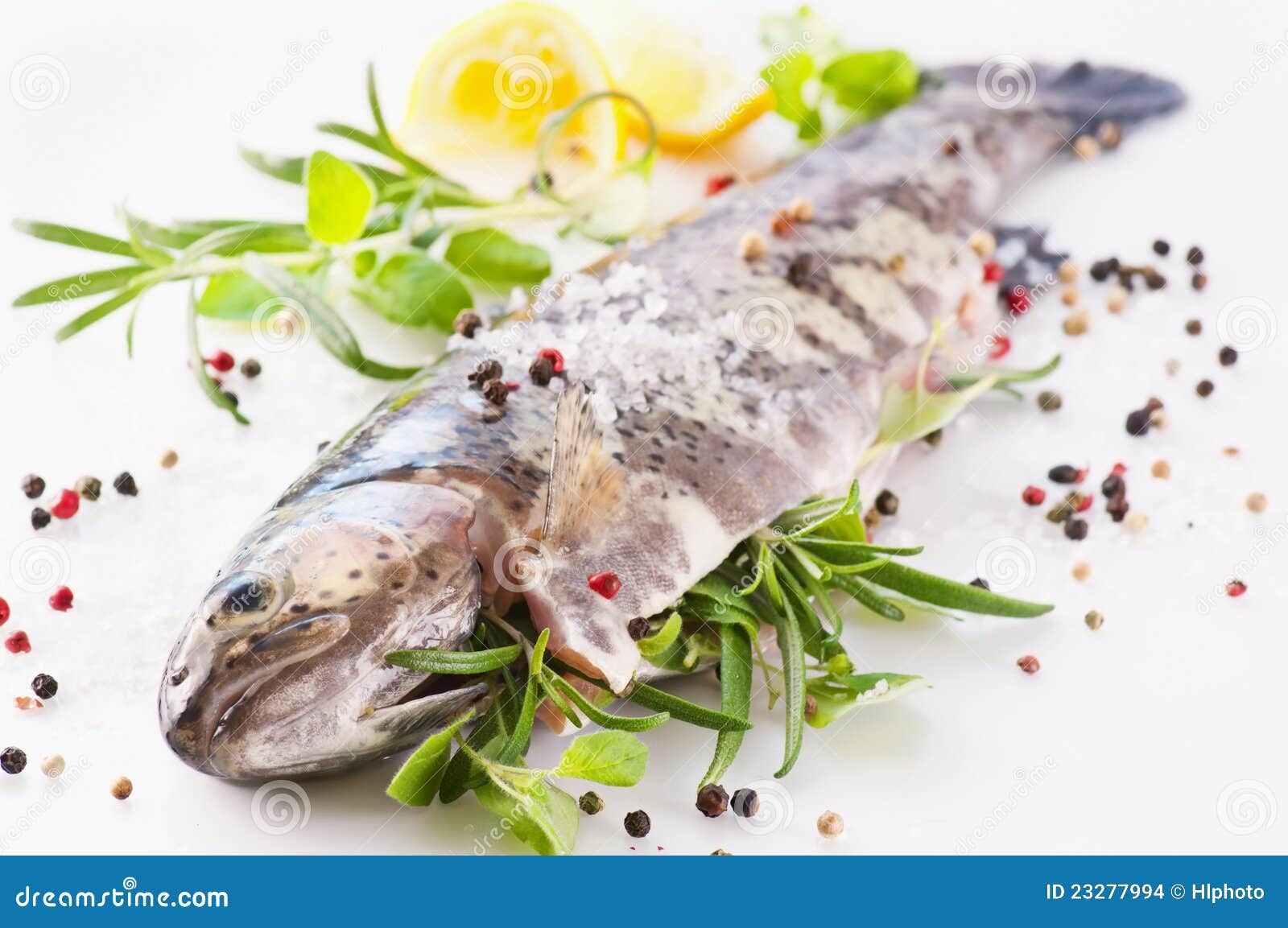 Trout with herbs stock photo. Image of isolated, pepper 23277994