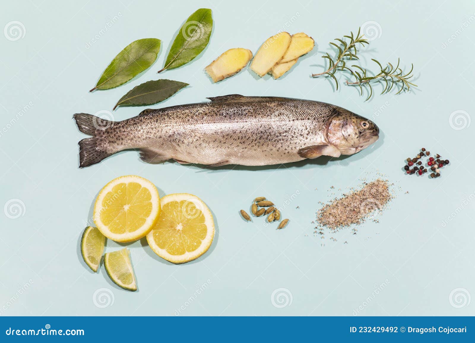 Trout with Herbs and Spices, Lemon, on a Light Blue Background. Flat Plan Top View Stock Photo