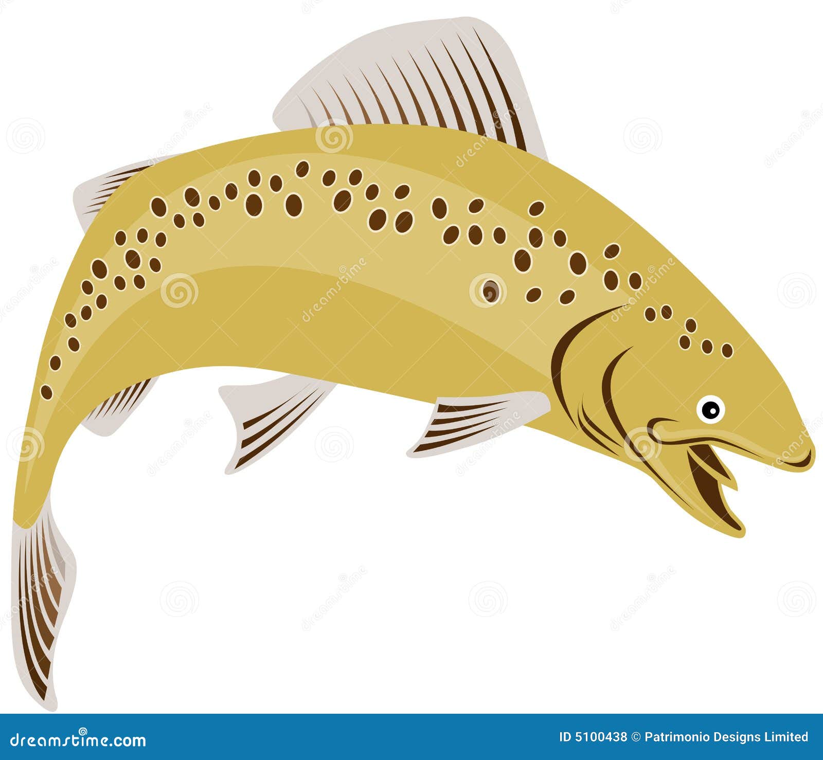 Trout Jumping Royalty Free Stock Photos Image 5100438