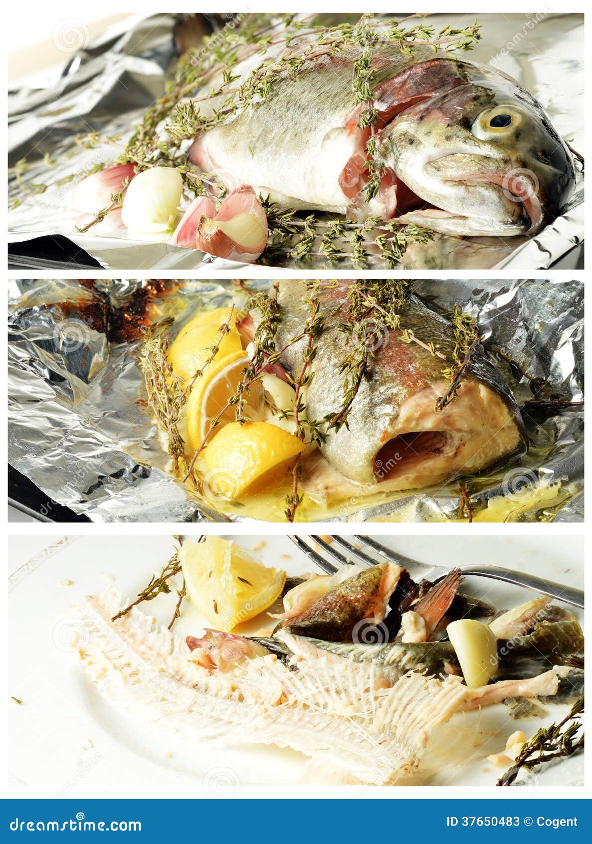 Trout Meal stock image. Image of lunch, nutrition, copy 37650483