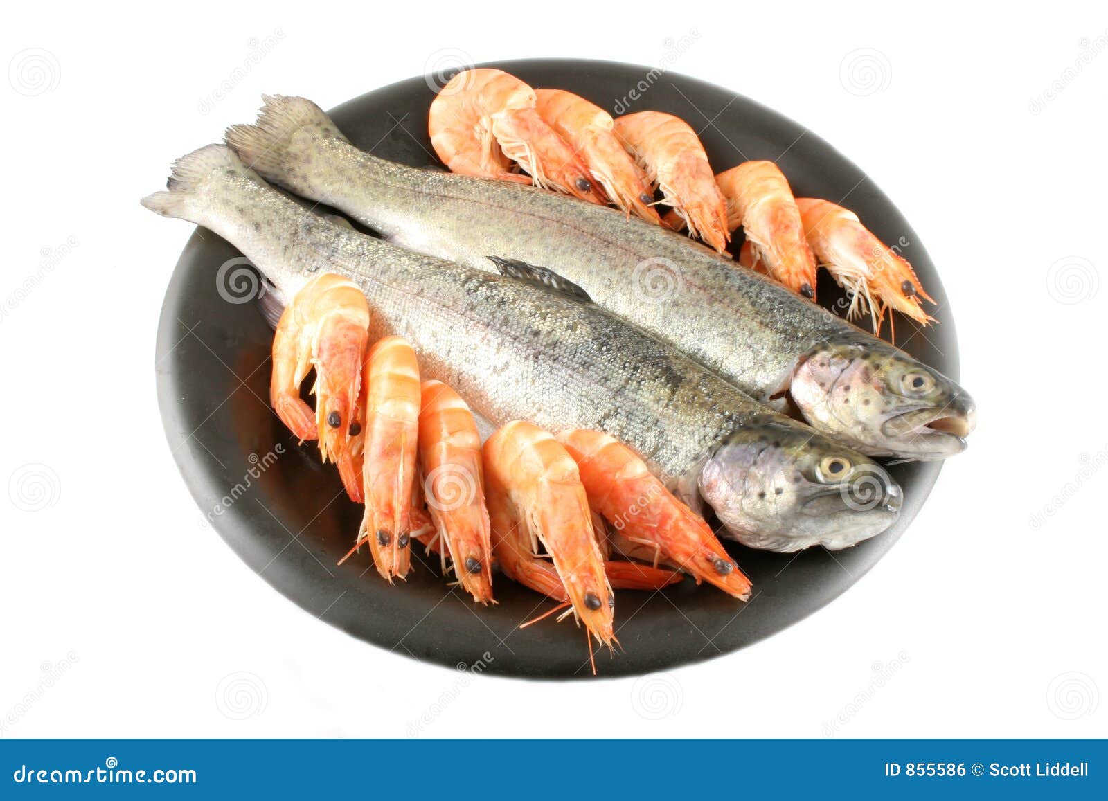 Trout and Shrimp stock photo. Image of tasty, black, seafood 855586