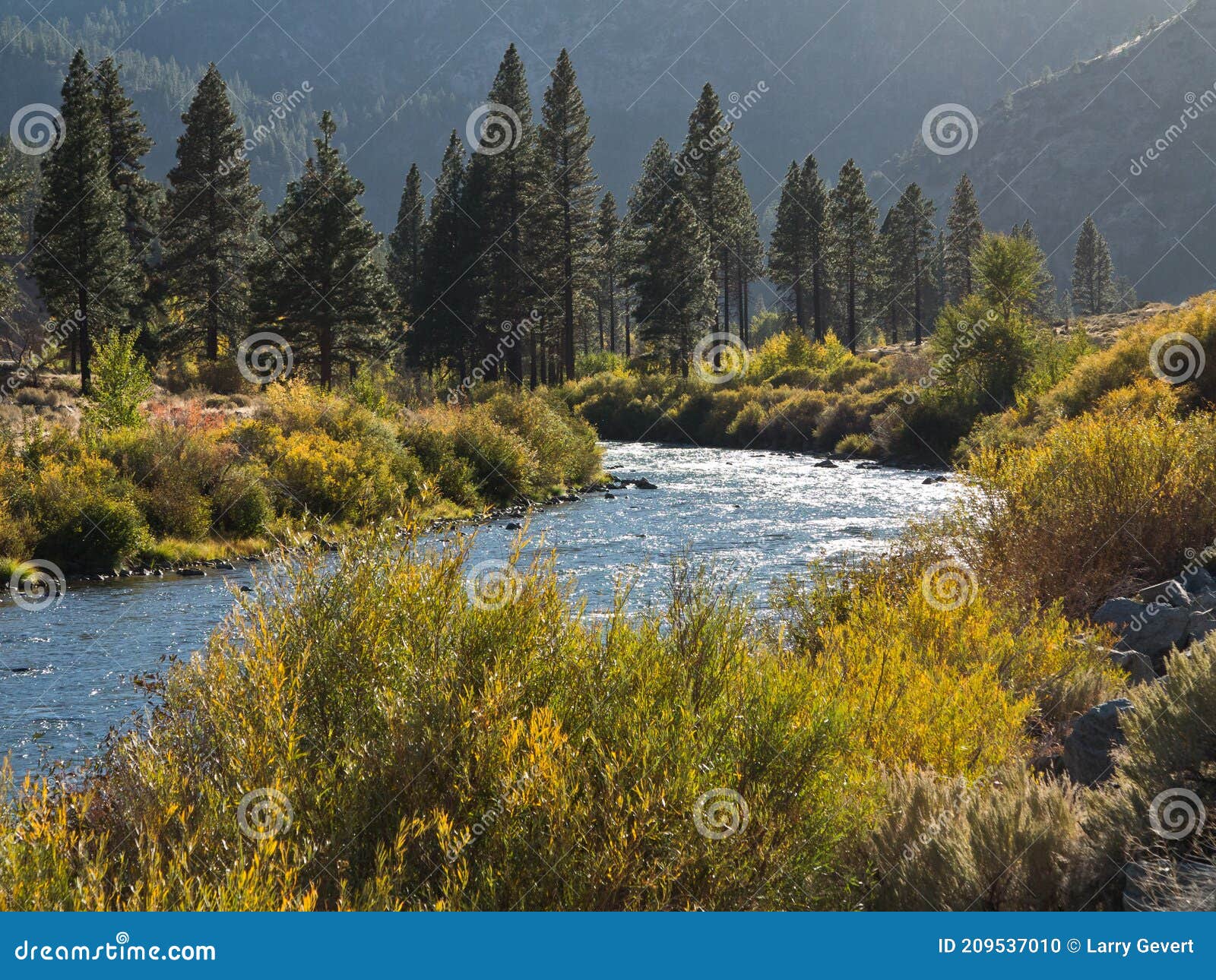 the truckee river west of reno, nevada
