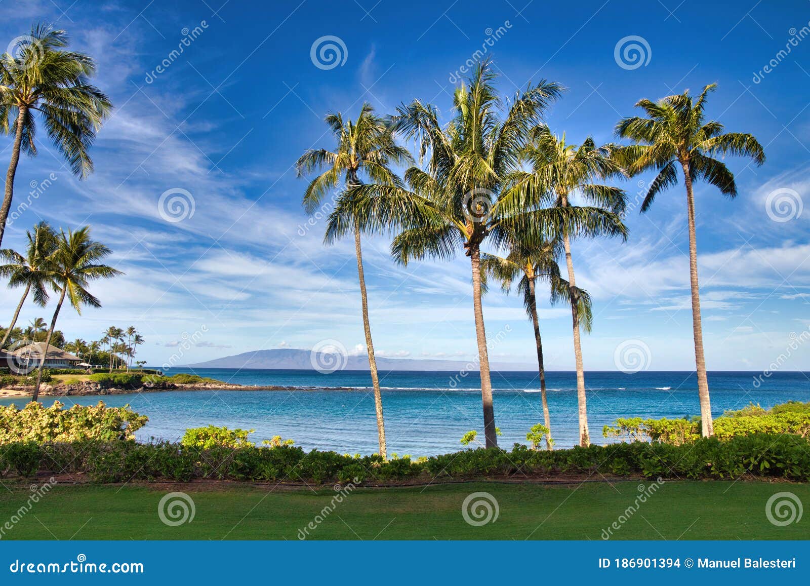 view through the trees at napili bay and distant molokai.