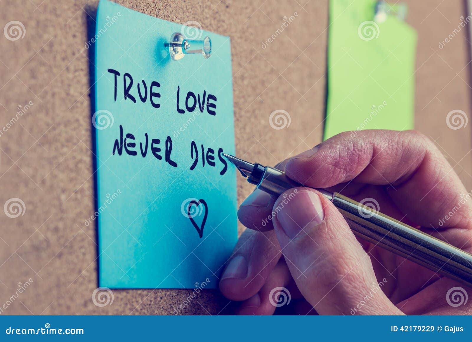 download the true love never dies download the true love never dies
