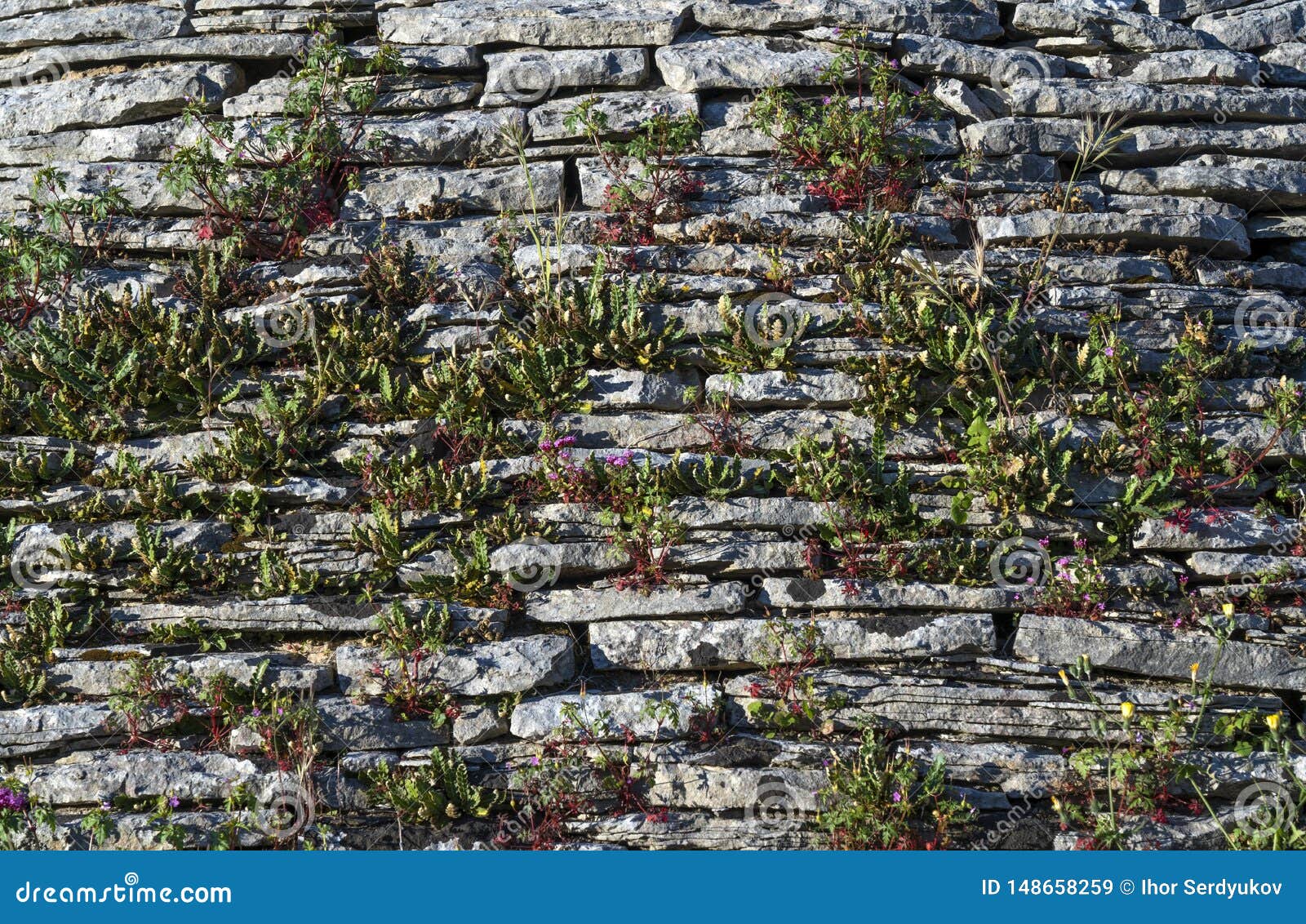 trulli roofs in alberobello. view of trulli houses .the traditional trulli houses in alberobello city, puglia, italy - immagine