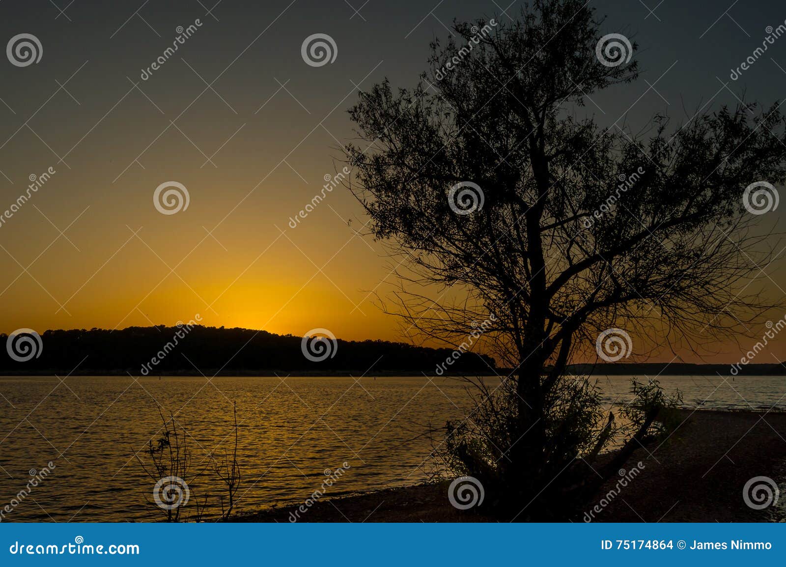 truman lake sunset with tree siloutte