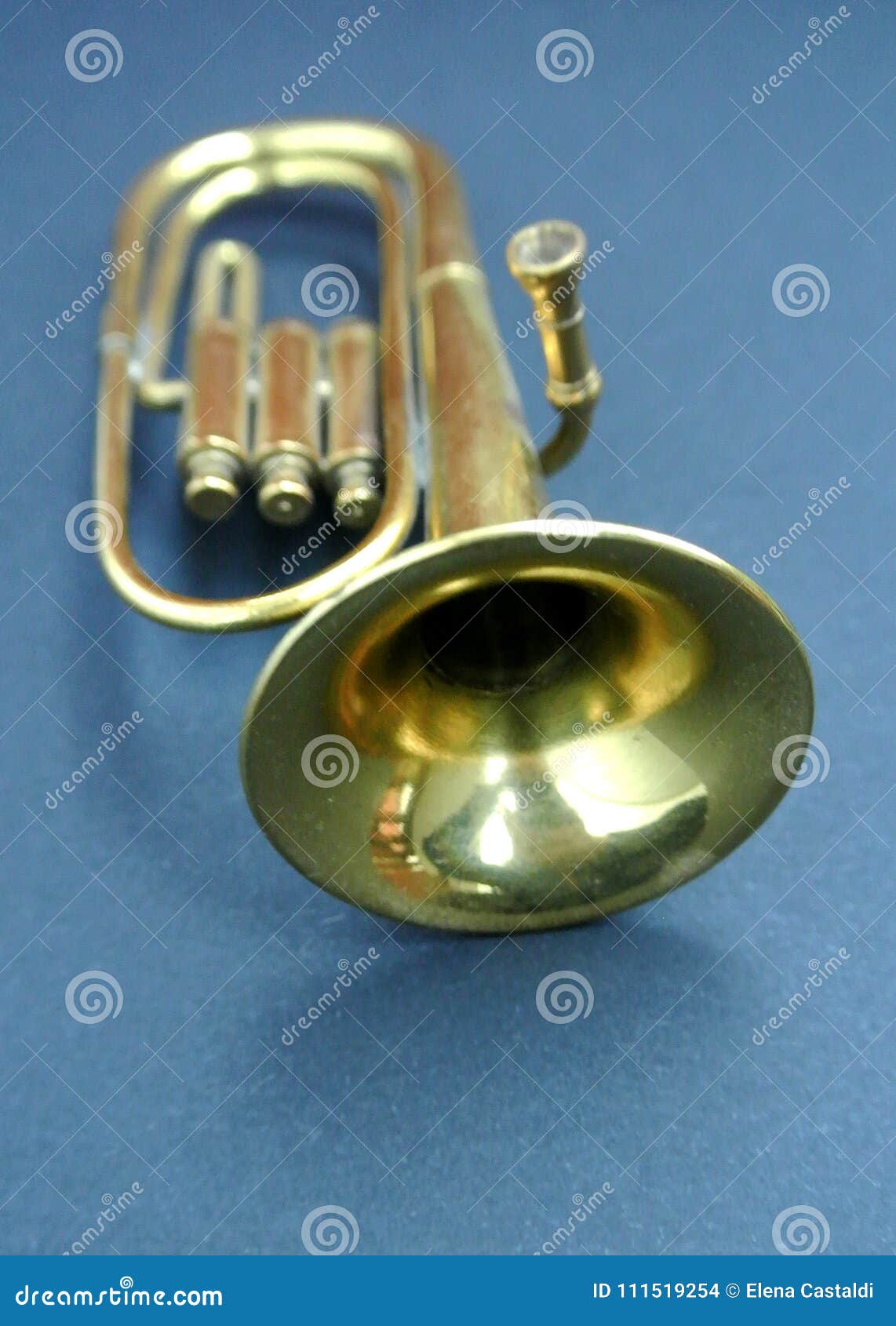The Trumpet stock photo. Image of antique, case, musical 111519254