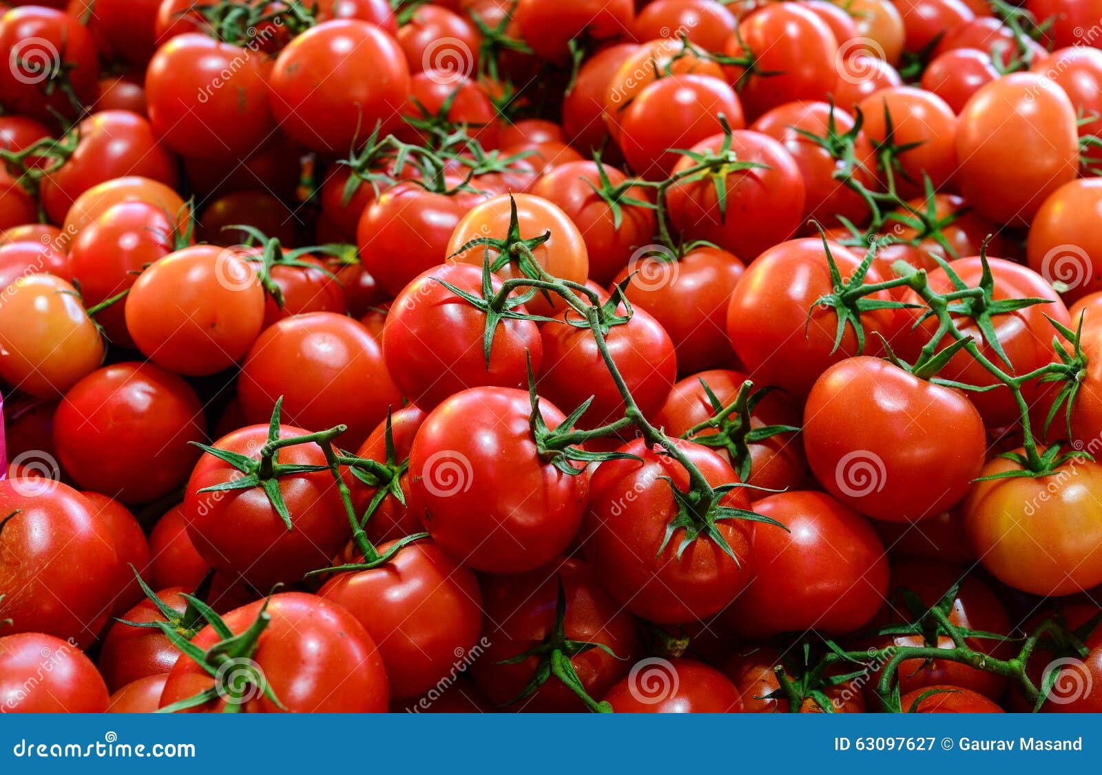 truss tomatoes for sale