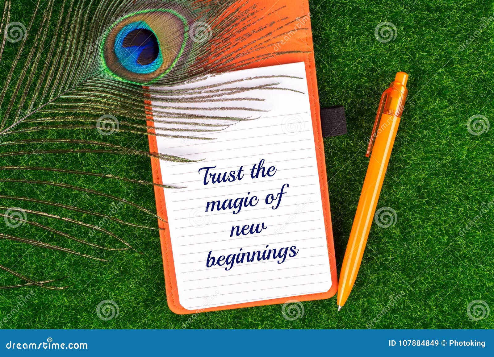 trust the magic of new beginnings