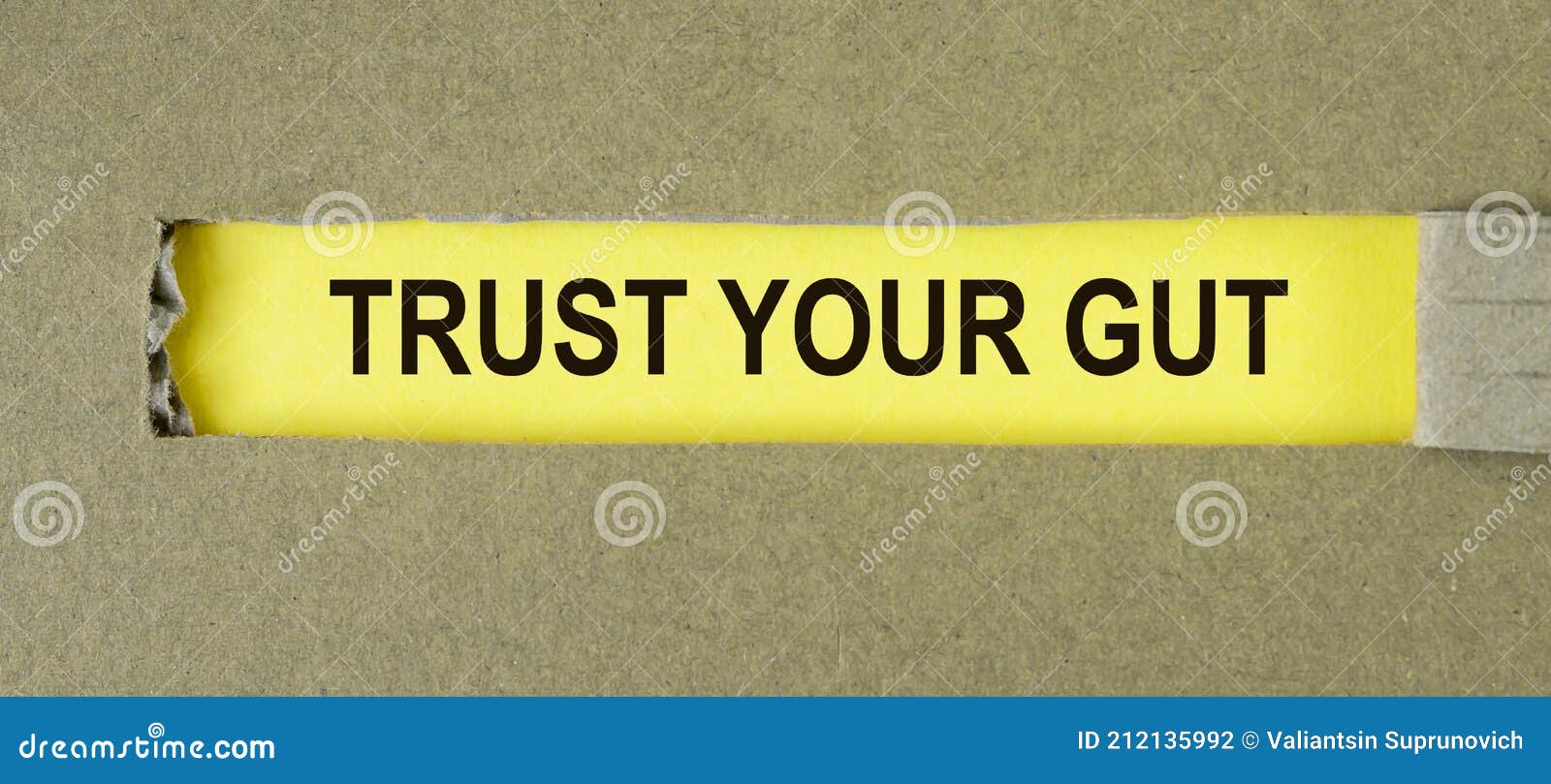 Trust Your Gut Deutsch Trust Your Gut Stock Photos - Free & Royalty-Free Stock Photos from  Dreamstime