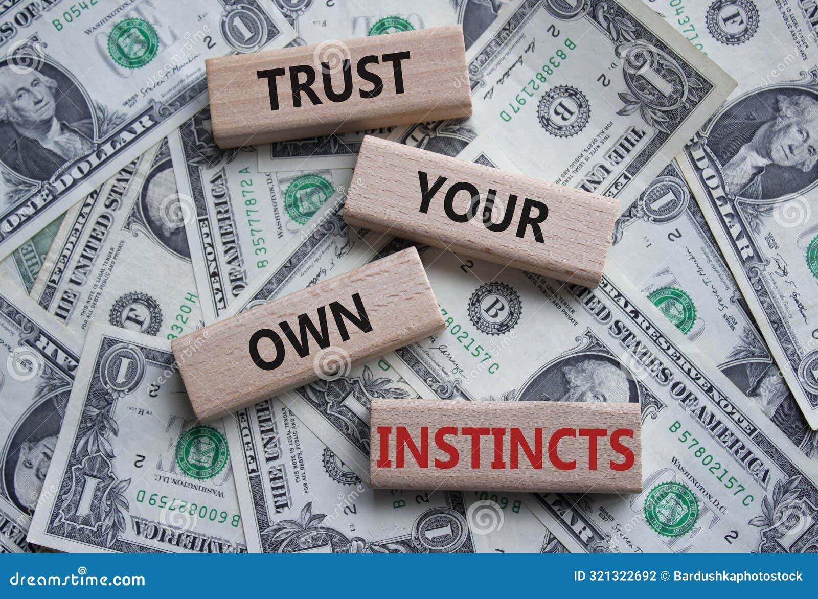 trust your own instincts . concept words trust your own instincts on wooden blocks. beautiful dollar background. business