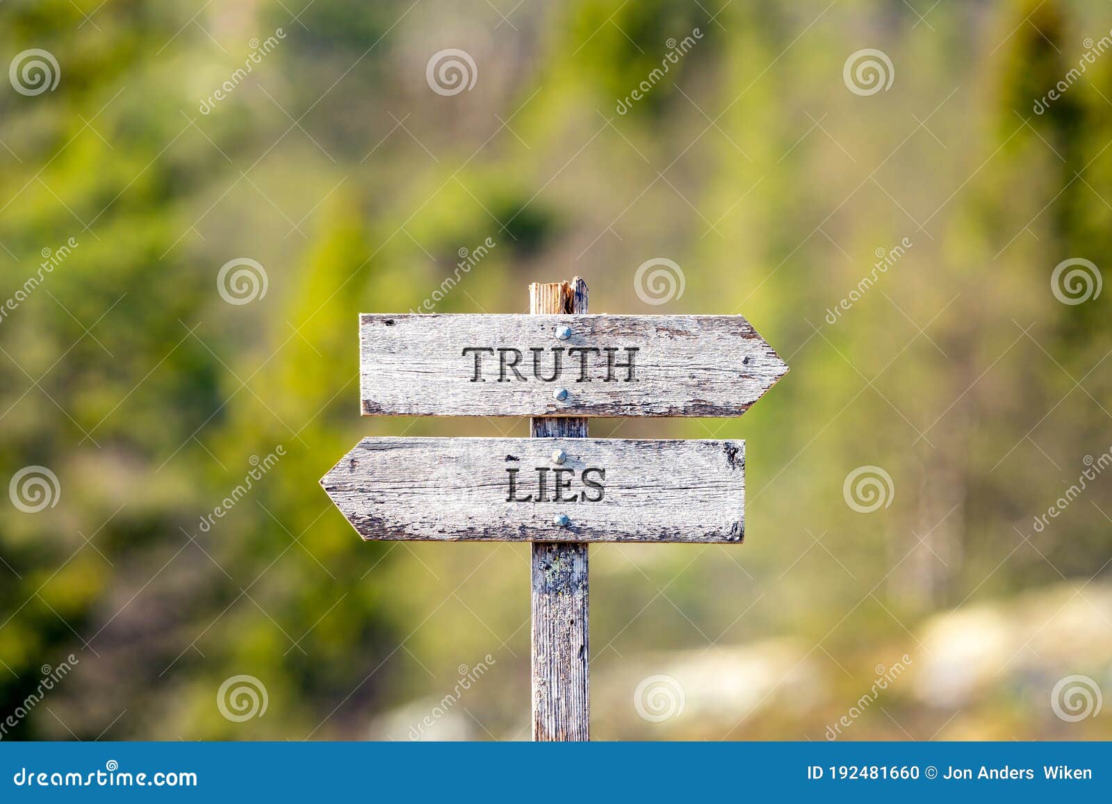 truth lies text carved on wooden signpost outdoors in nature.