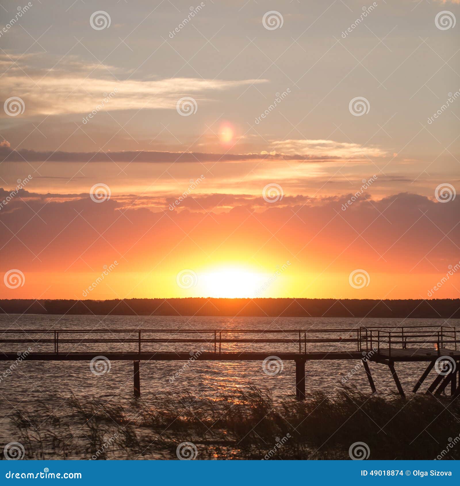 Träpir på solnedgången. Träpir på solnedgångfotoet för dig