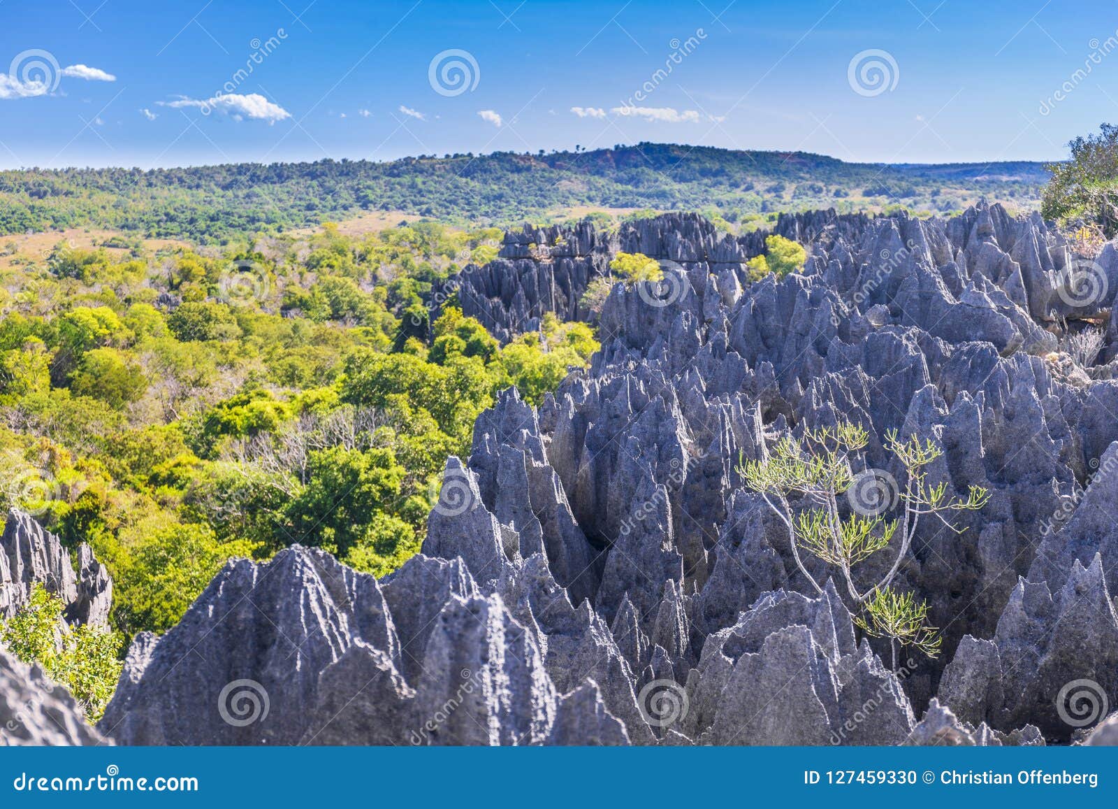 Tsingy De Bemaraha Strict Reserve in Madagascar Stock Photo - Image of active: