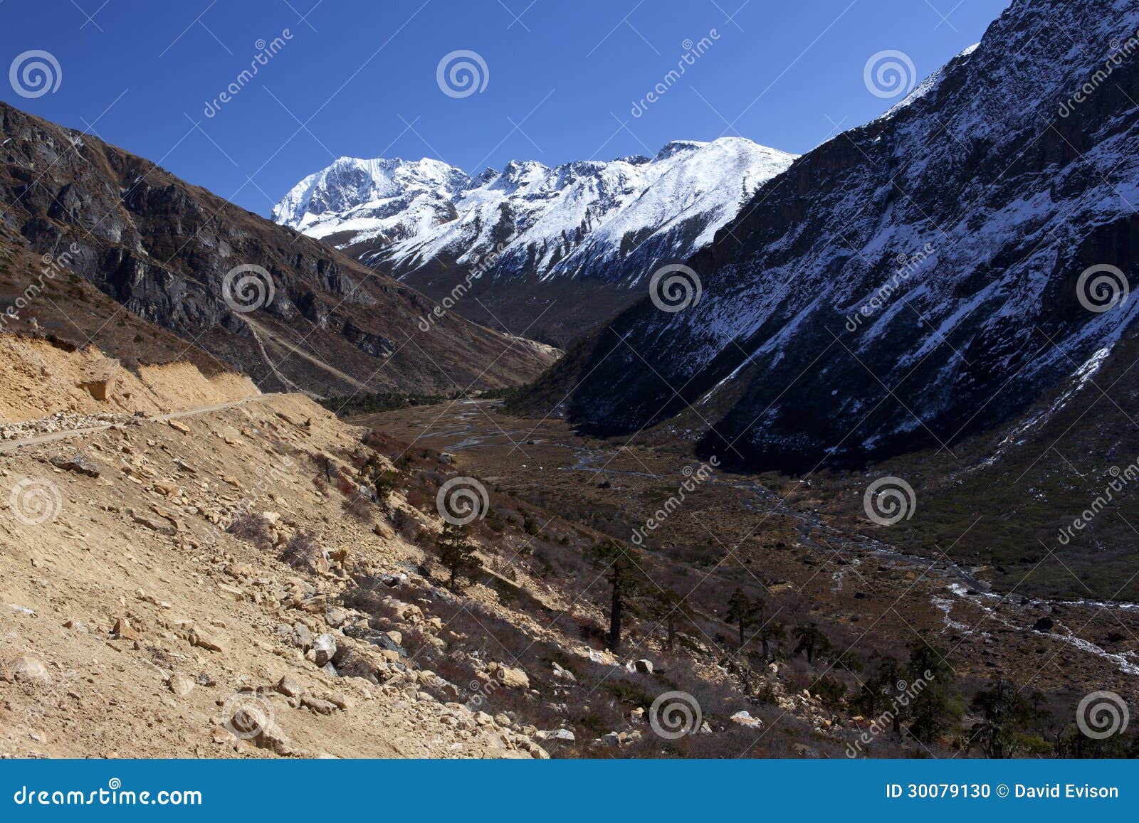 tsopta valley, sikkim.