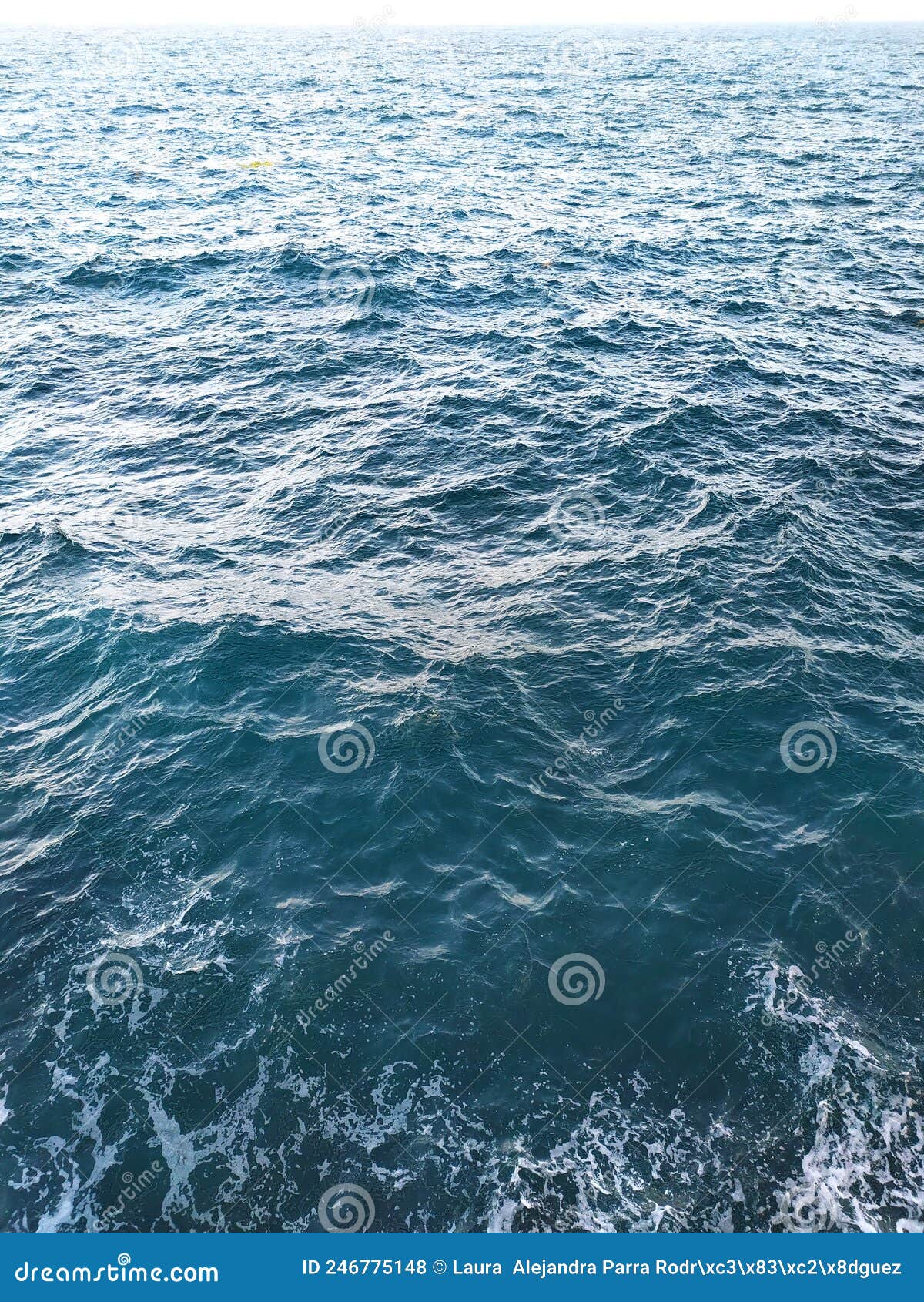 ttexture of the sea waters on a windy day. textura de las aguas del mar en un dÃÂ­a de viento