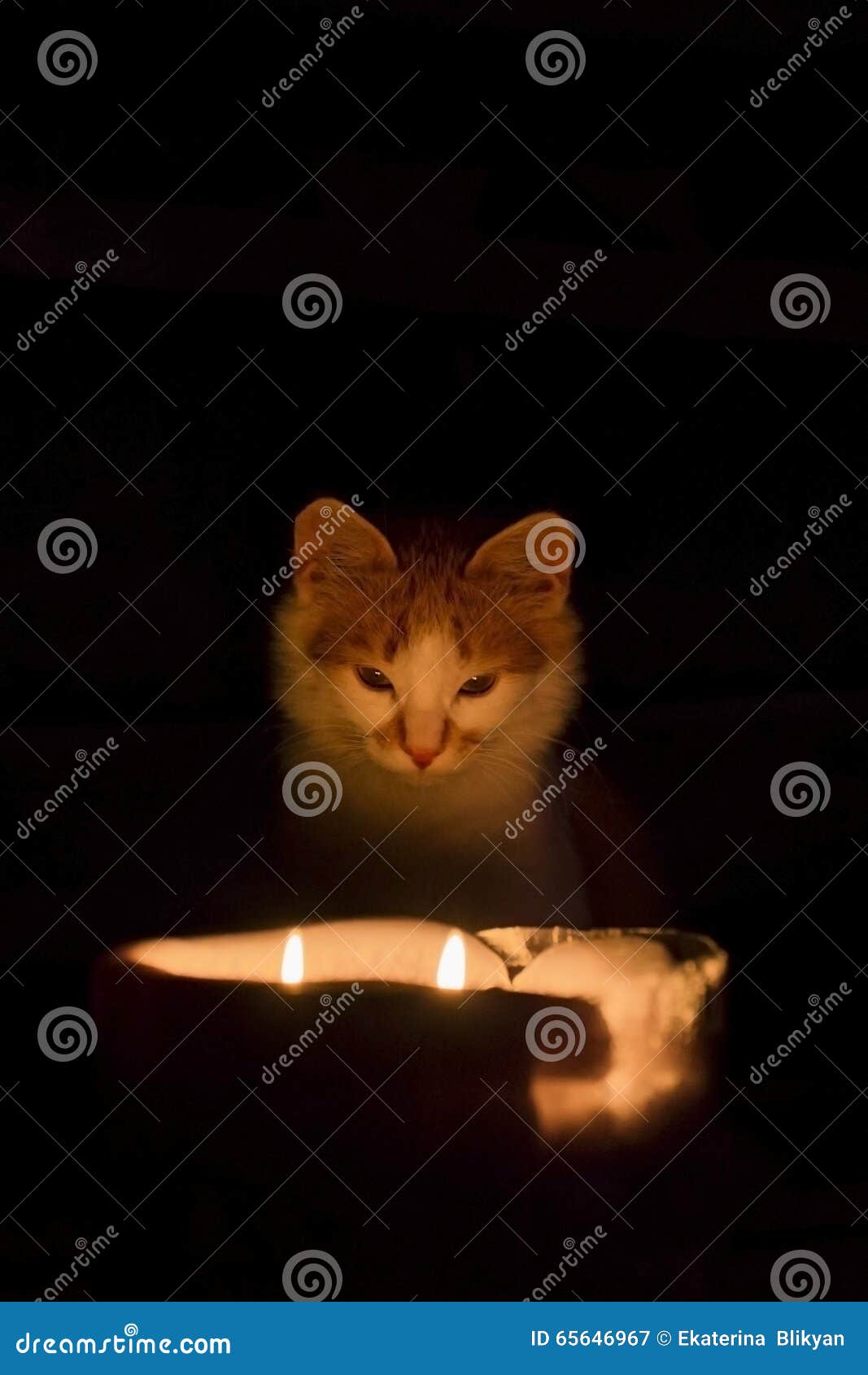 Tthe cat and candle stock image. Image of night, divination 65646967