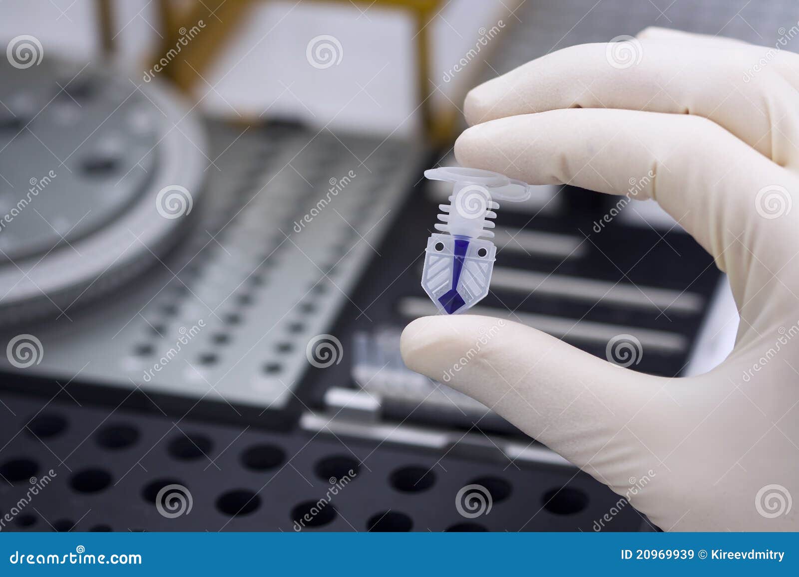 Tube for Fast Realtime Pcr Stock Image Image of color, discovery